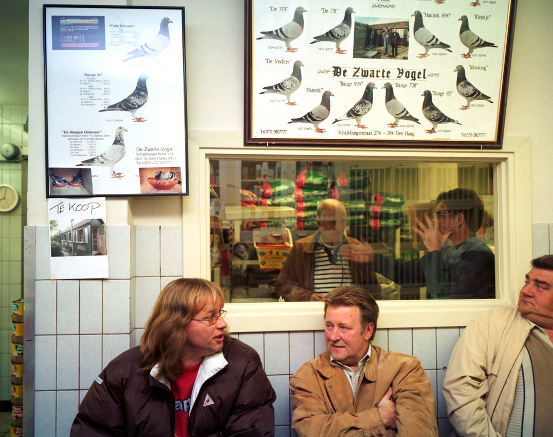 Haagse Duiven, 2009