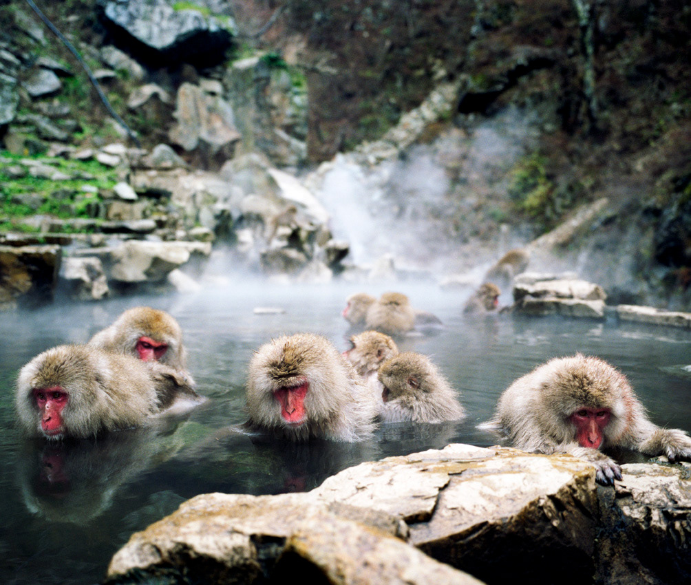Japan