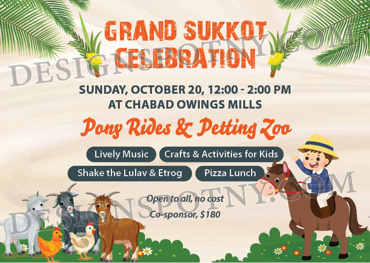Sukkot Petting Zoo