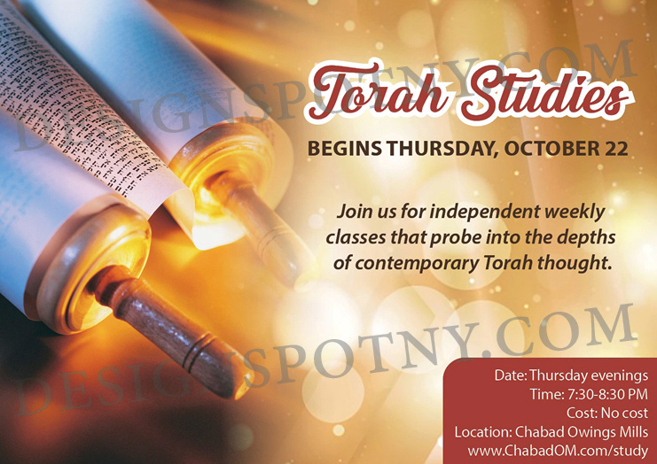 Torah Studies