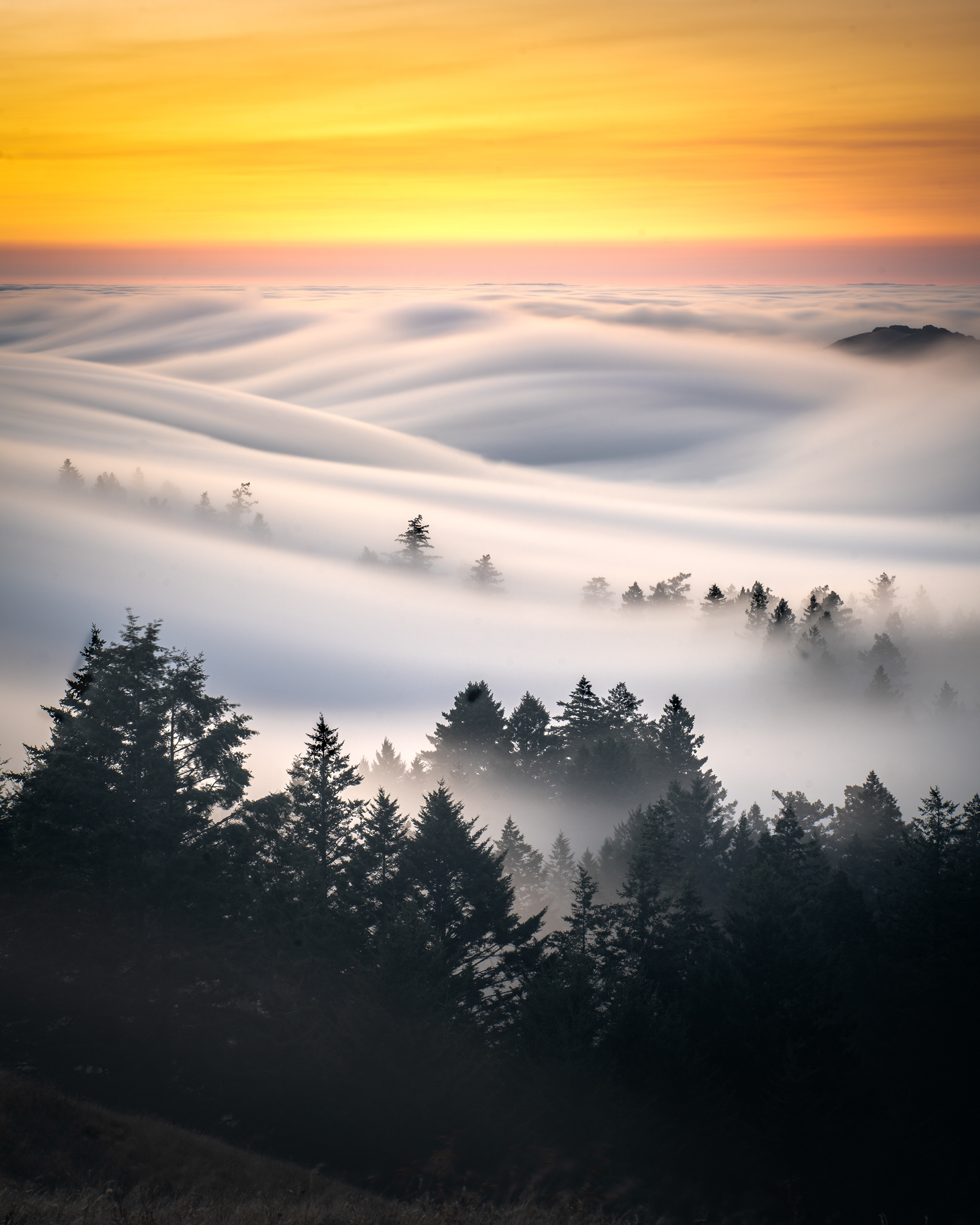 Mt Tamalpais, California