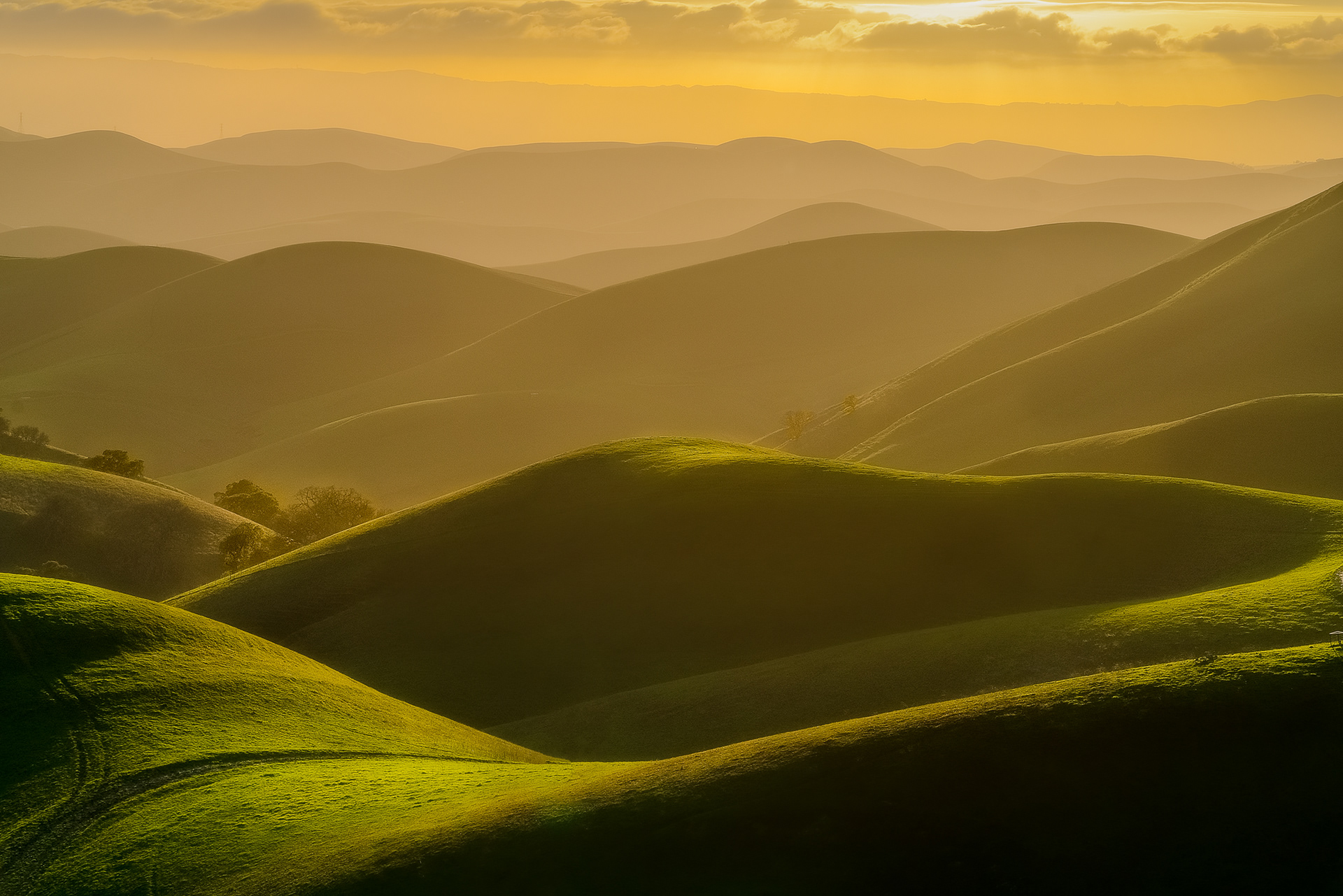 East Bay Hills, Bay Area