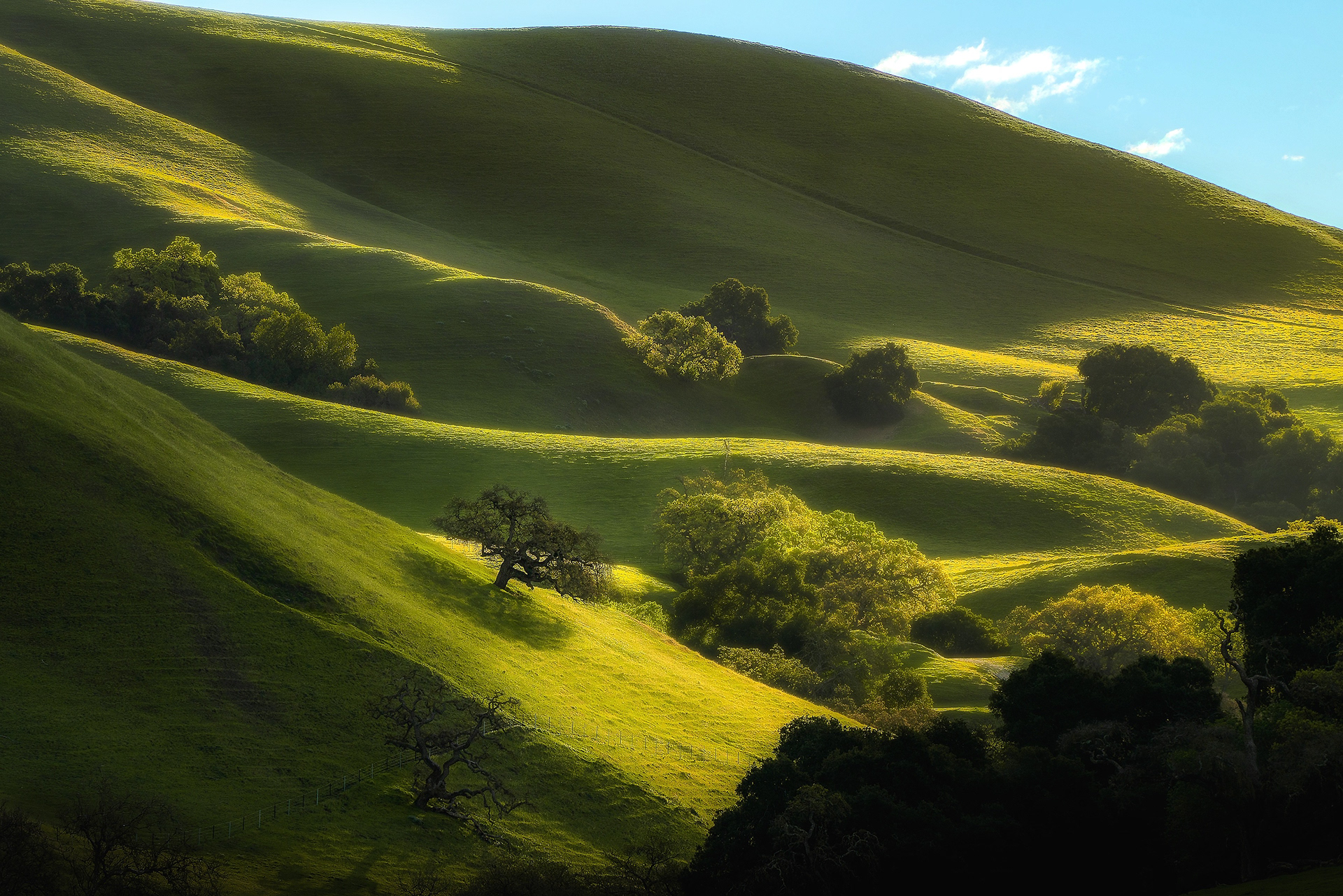 East Bay Hills, Bay Area
