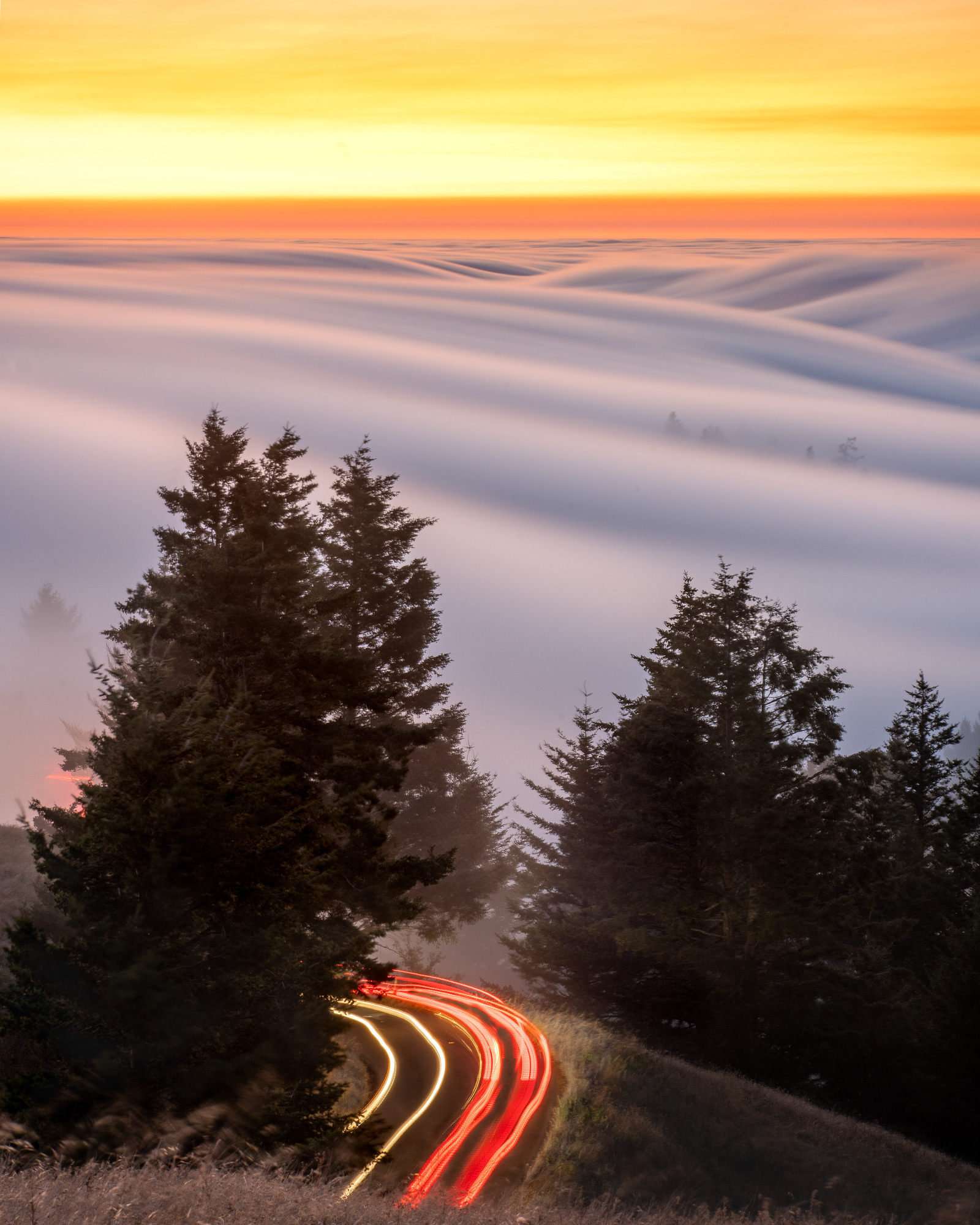 Mt Tamalpais Trails
