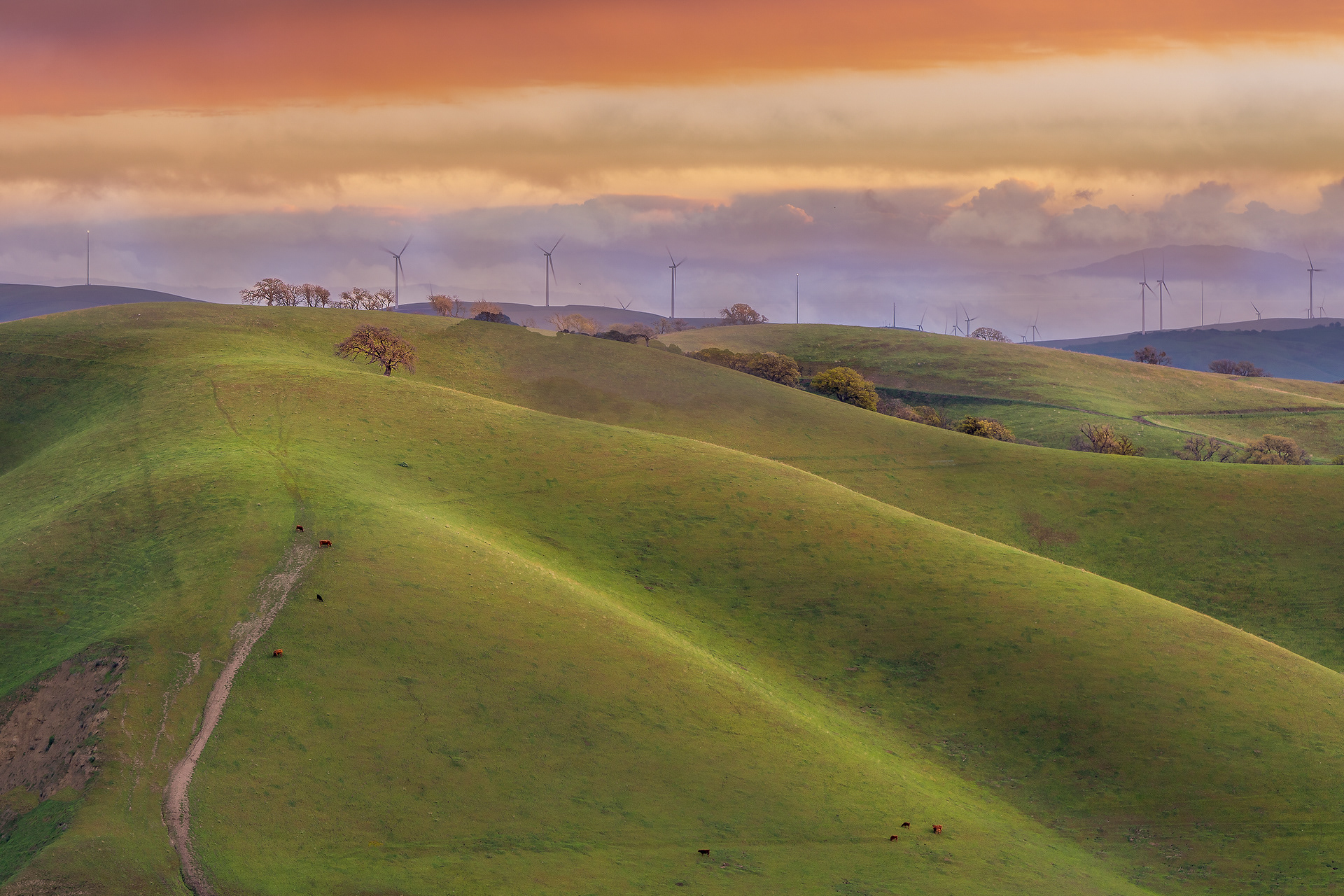 East Bay Hills, Bay Area