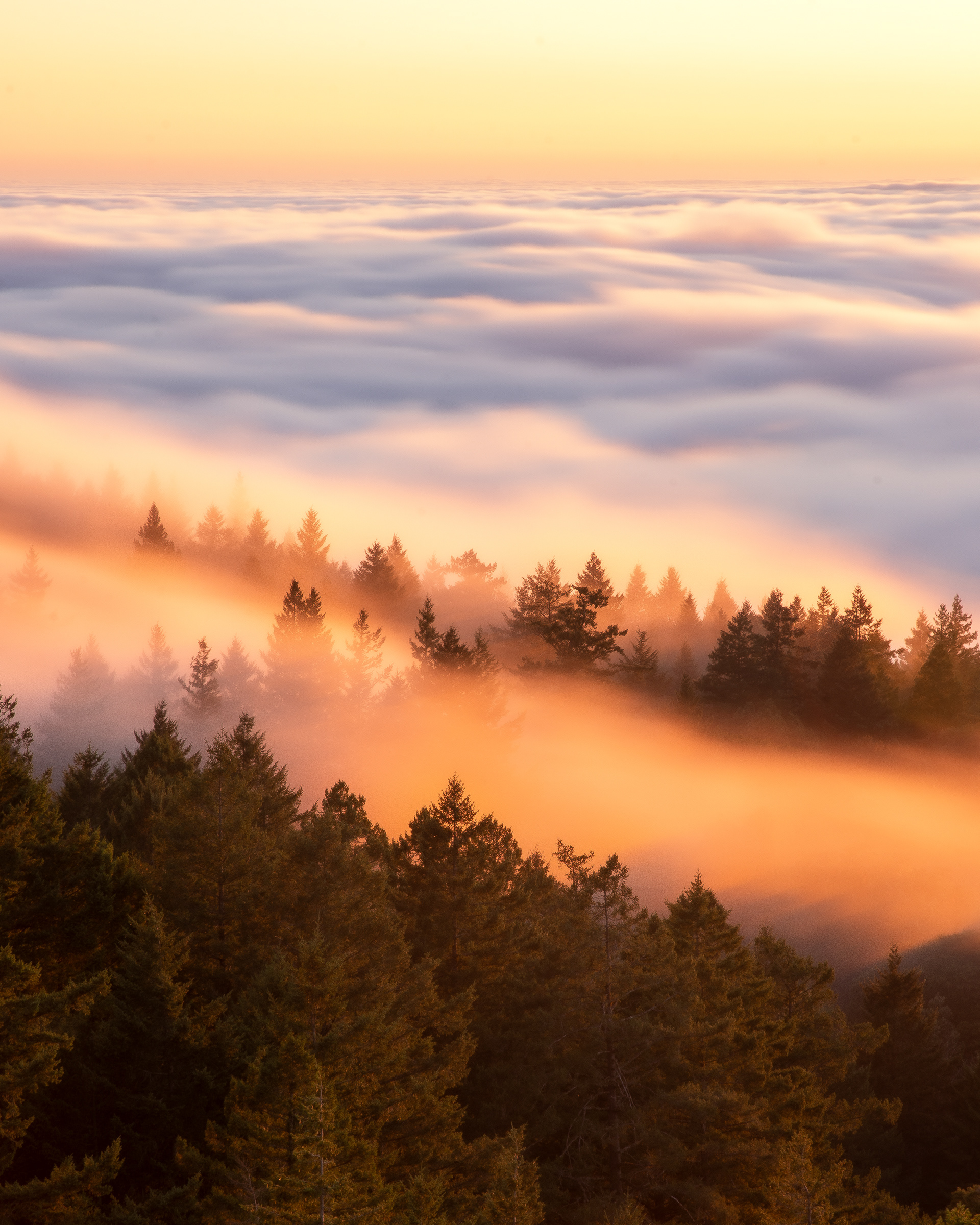 Mt Tamalpais, California