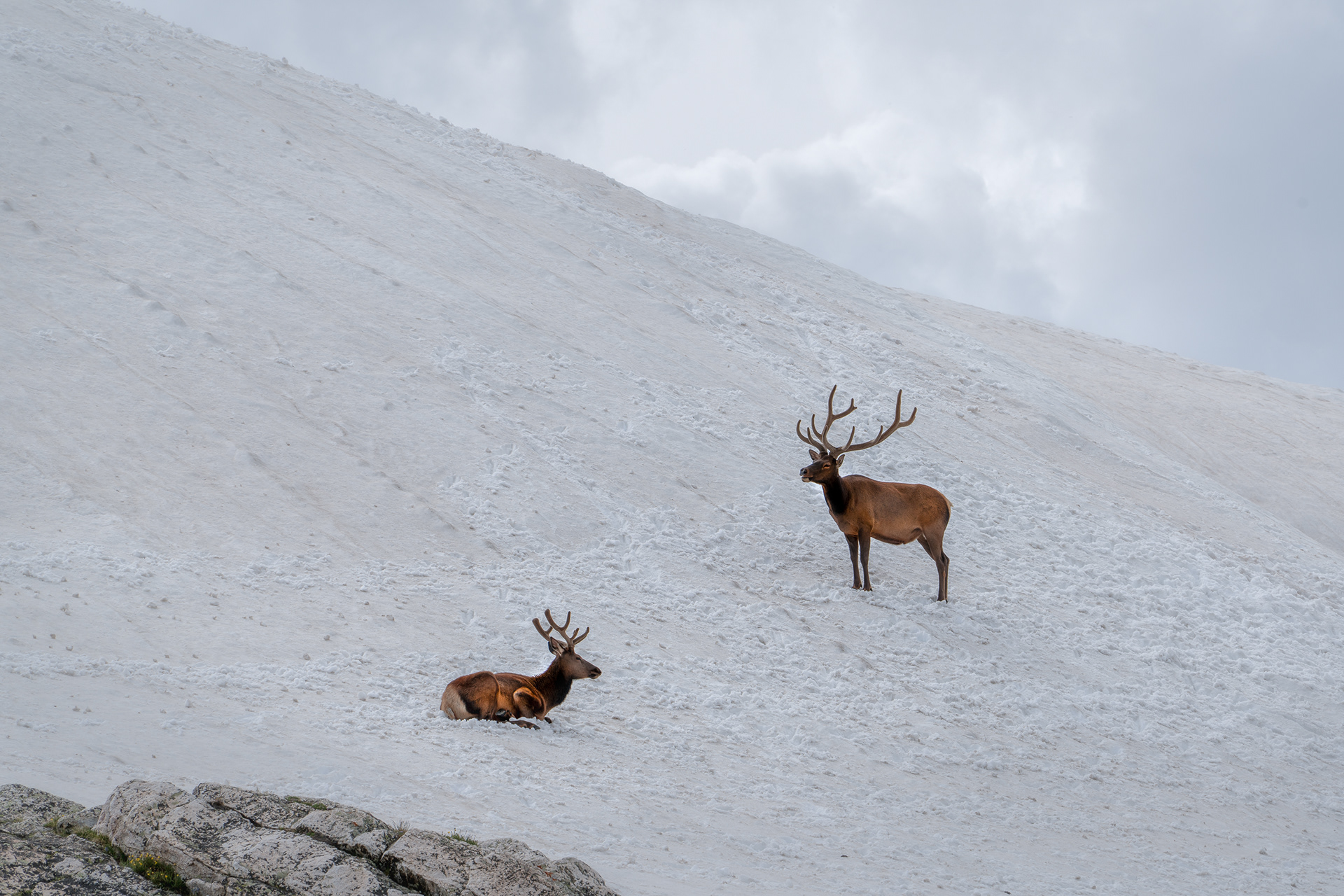 Rocky Mountain National Park, Colorado