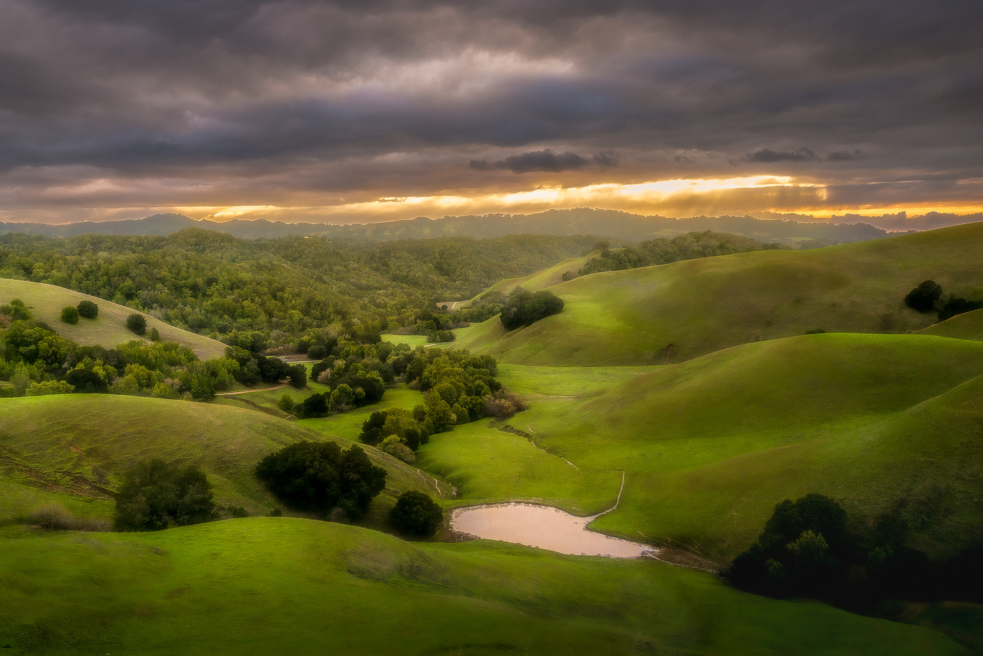 East Bay Hills, Bay Area