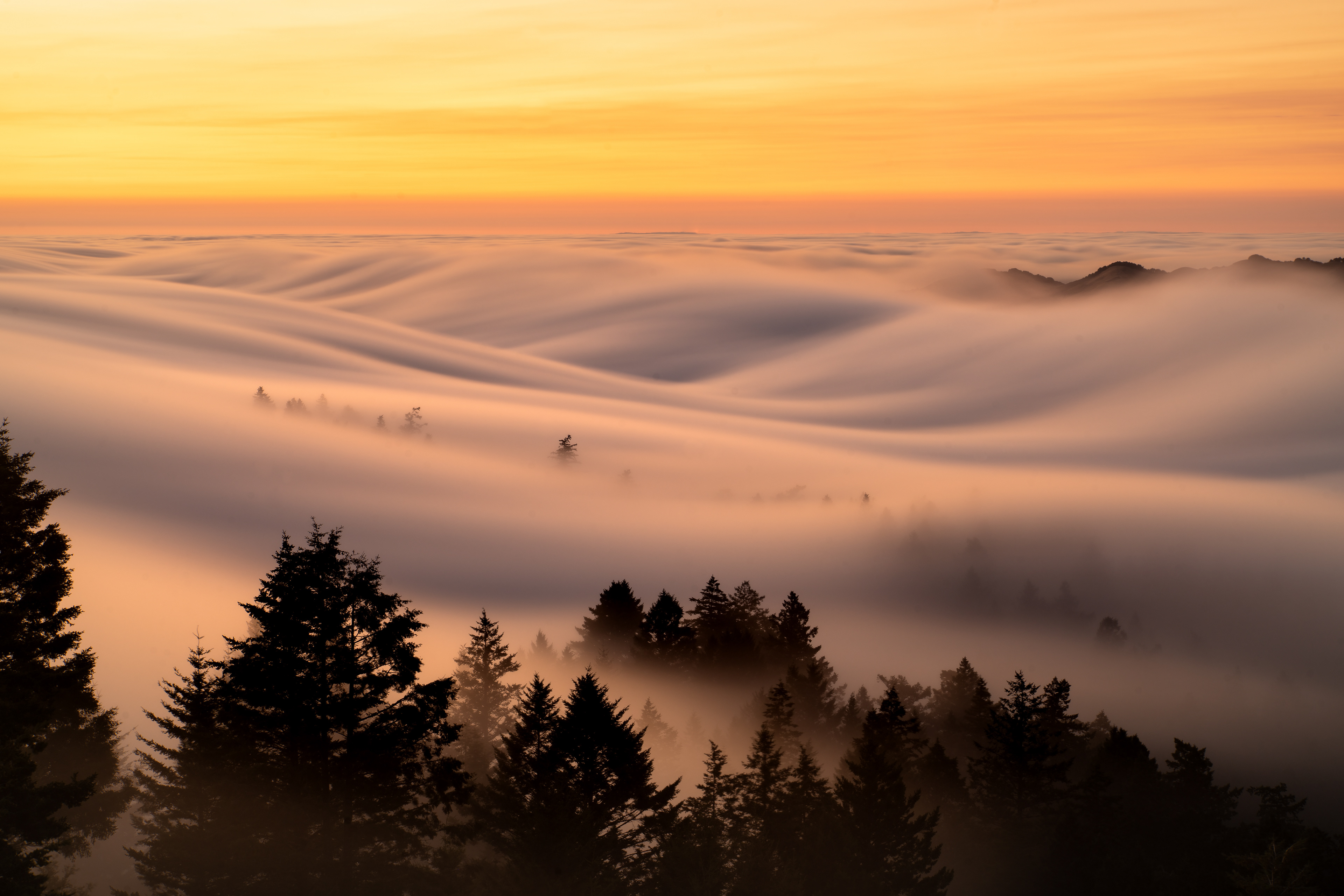 Mt Tamalpais, California