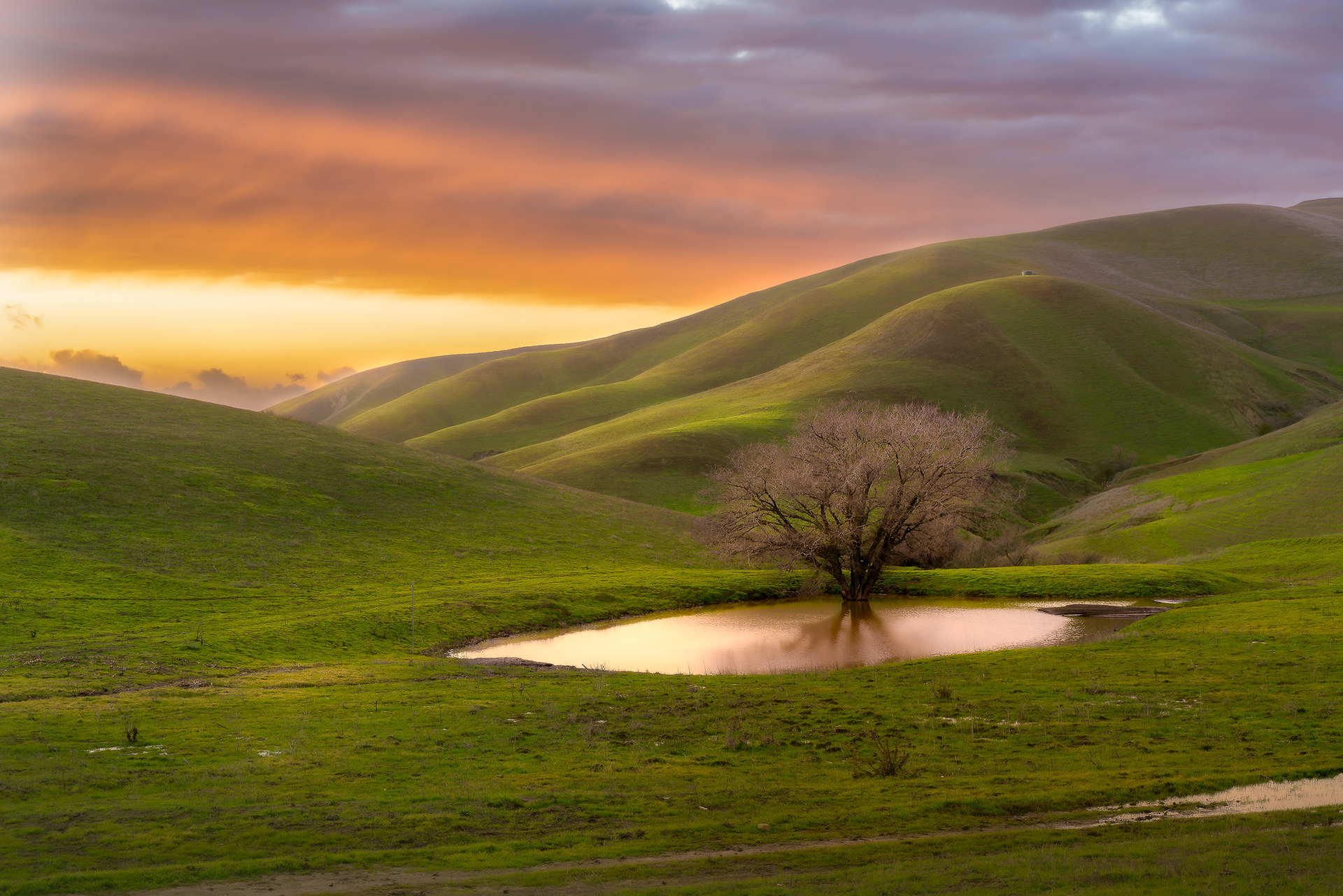 East Bay Hills, Bay Area