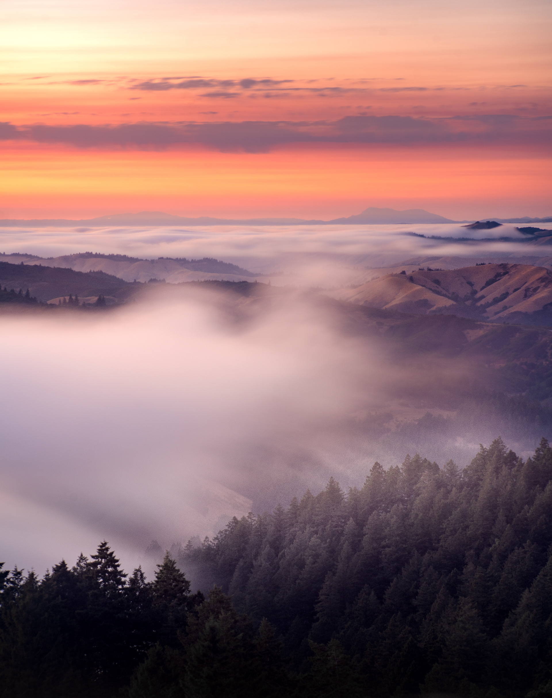 Mt Tamalpais, California