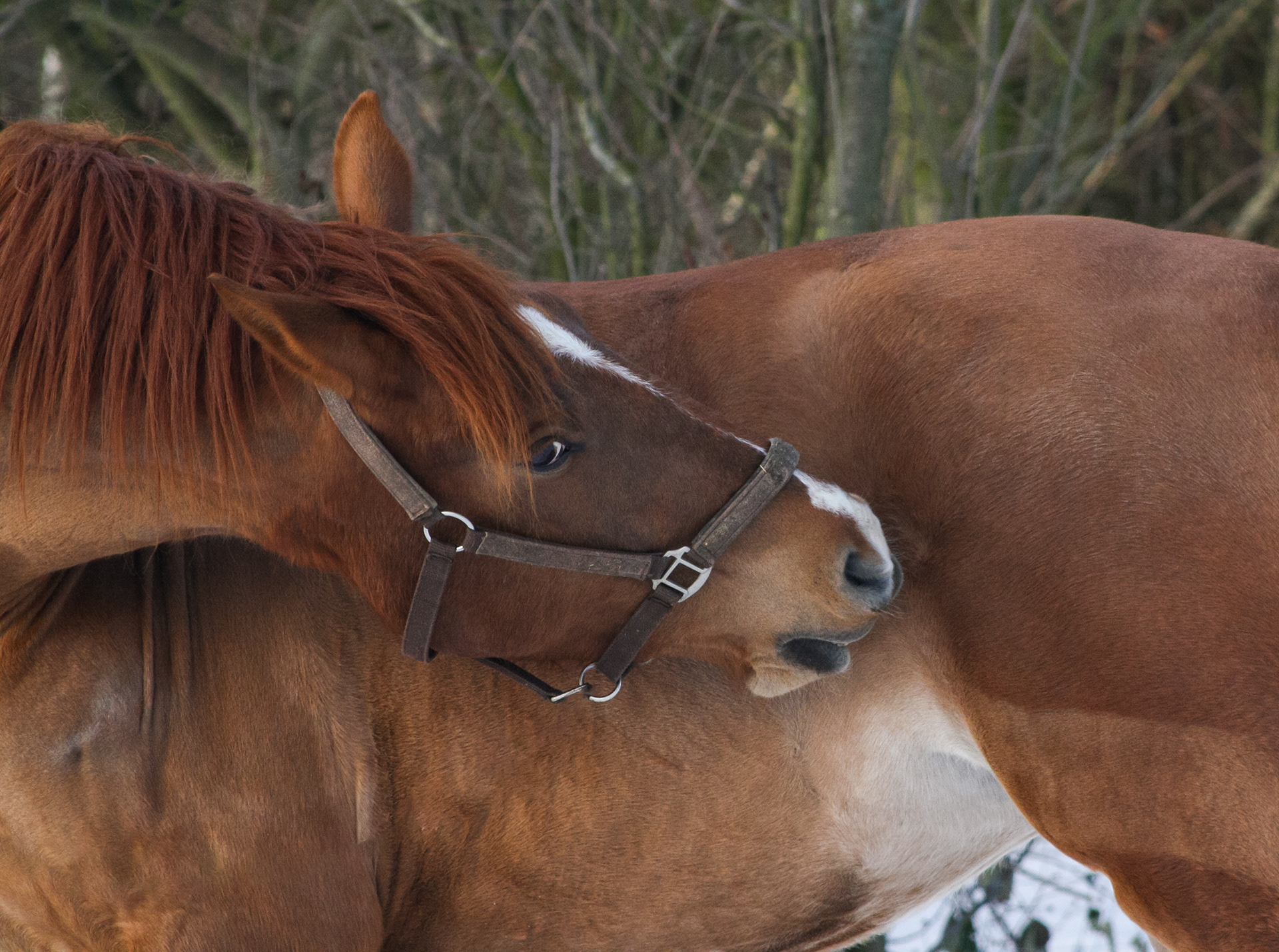 Januar 2010