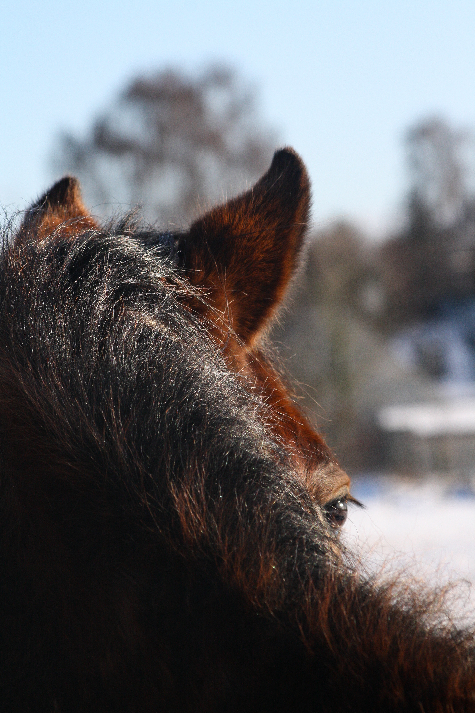 Januar 2010