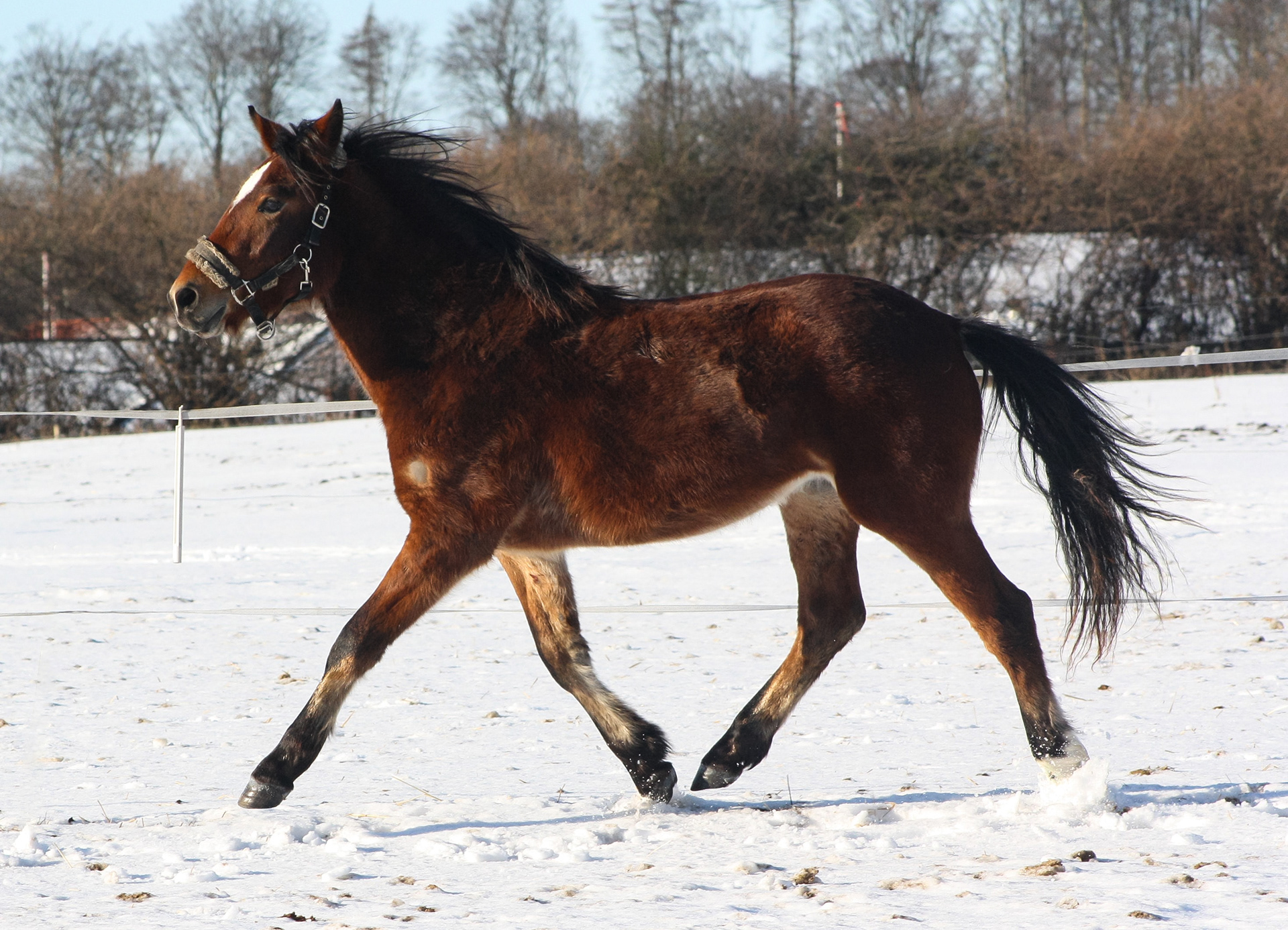 Januar 2010
