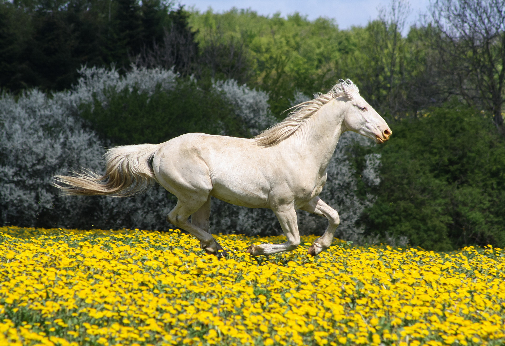 Maj 2010