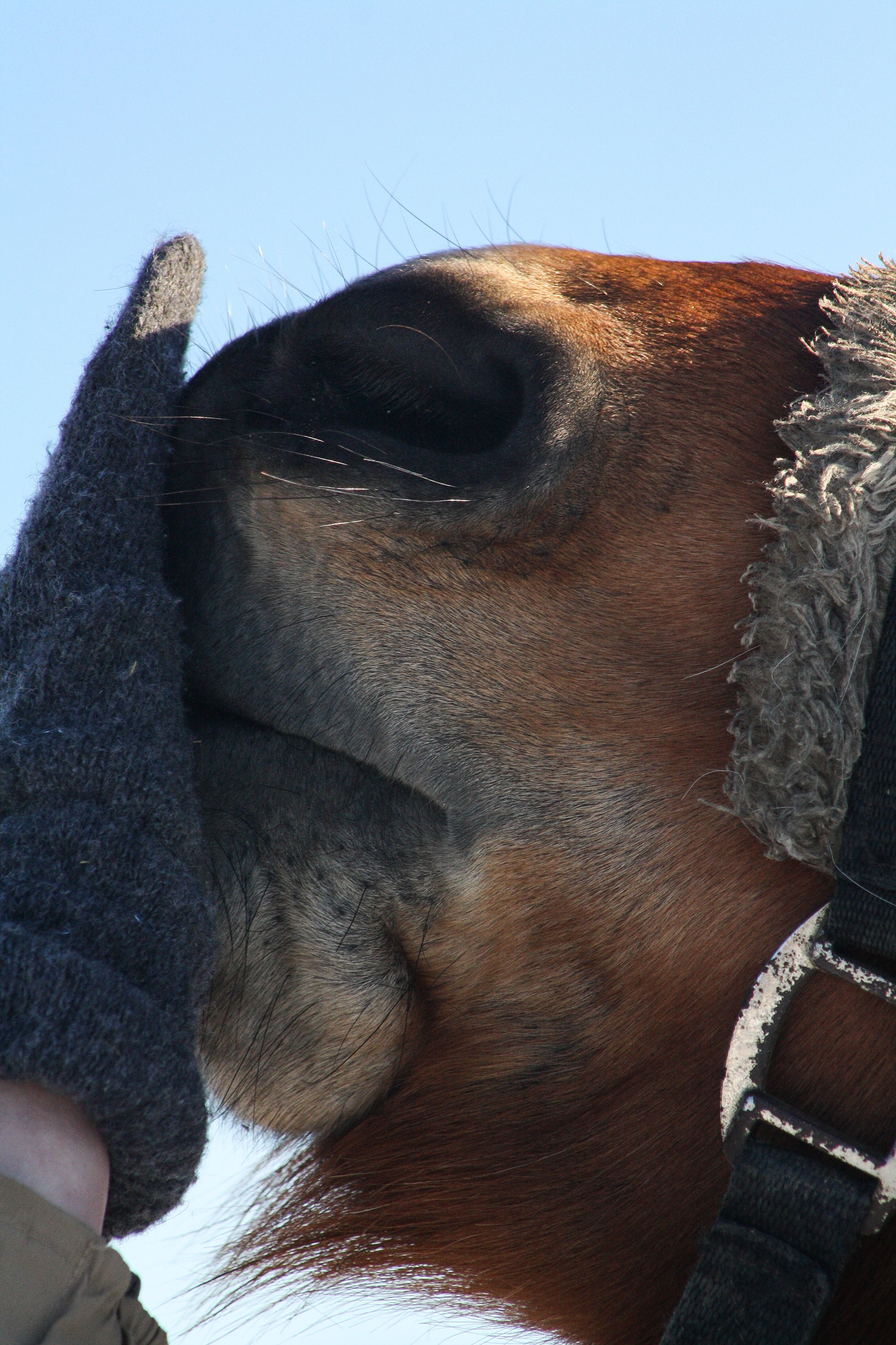 Januar 2010