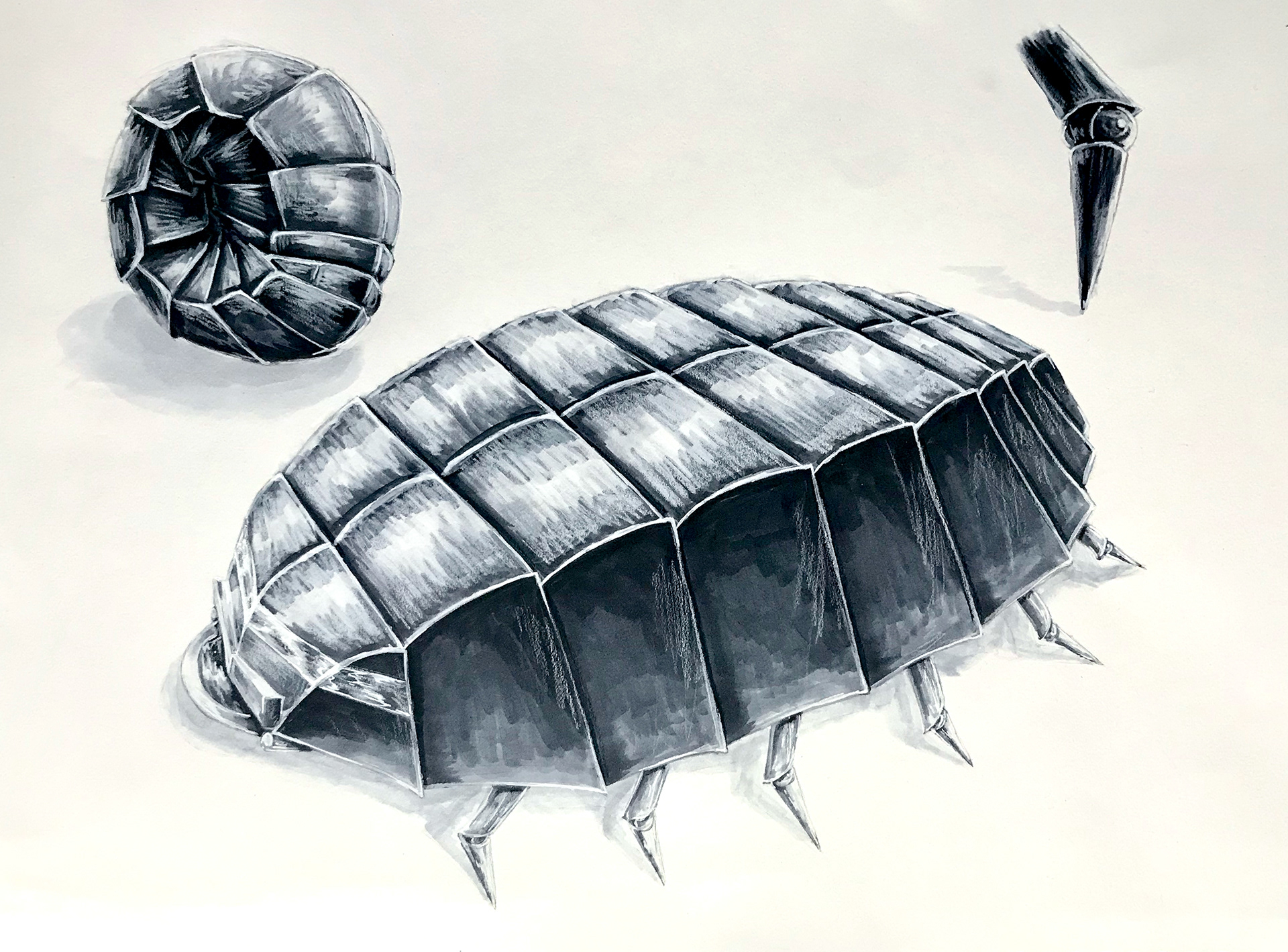 copic marker