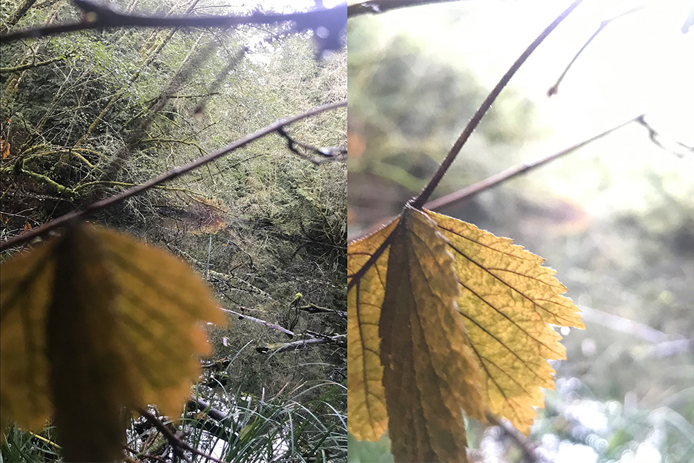 photography/photoshop