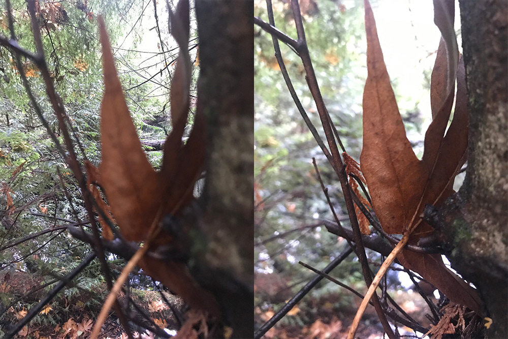 photography/photoshop