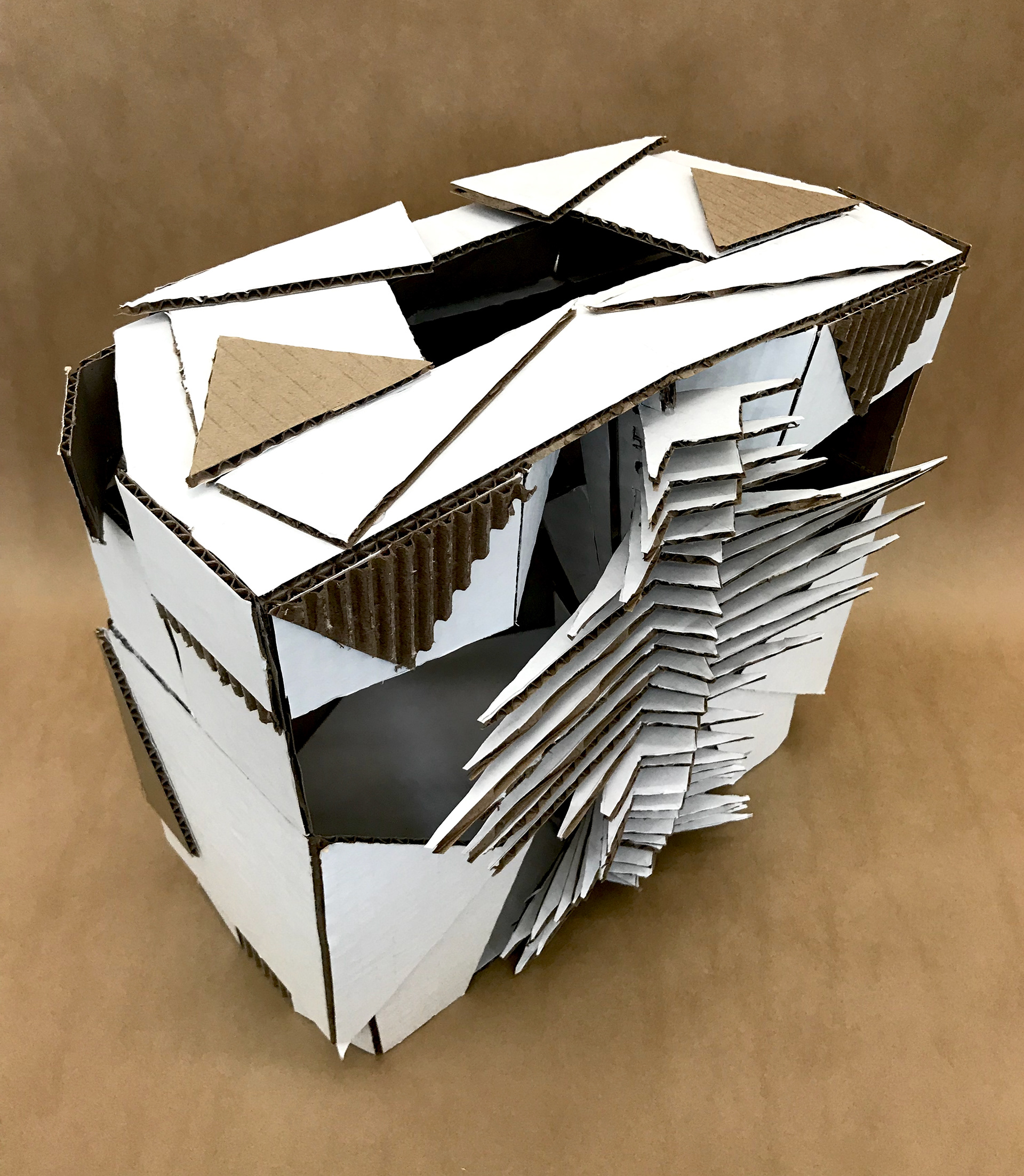 cardboard