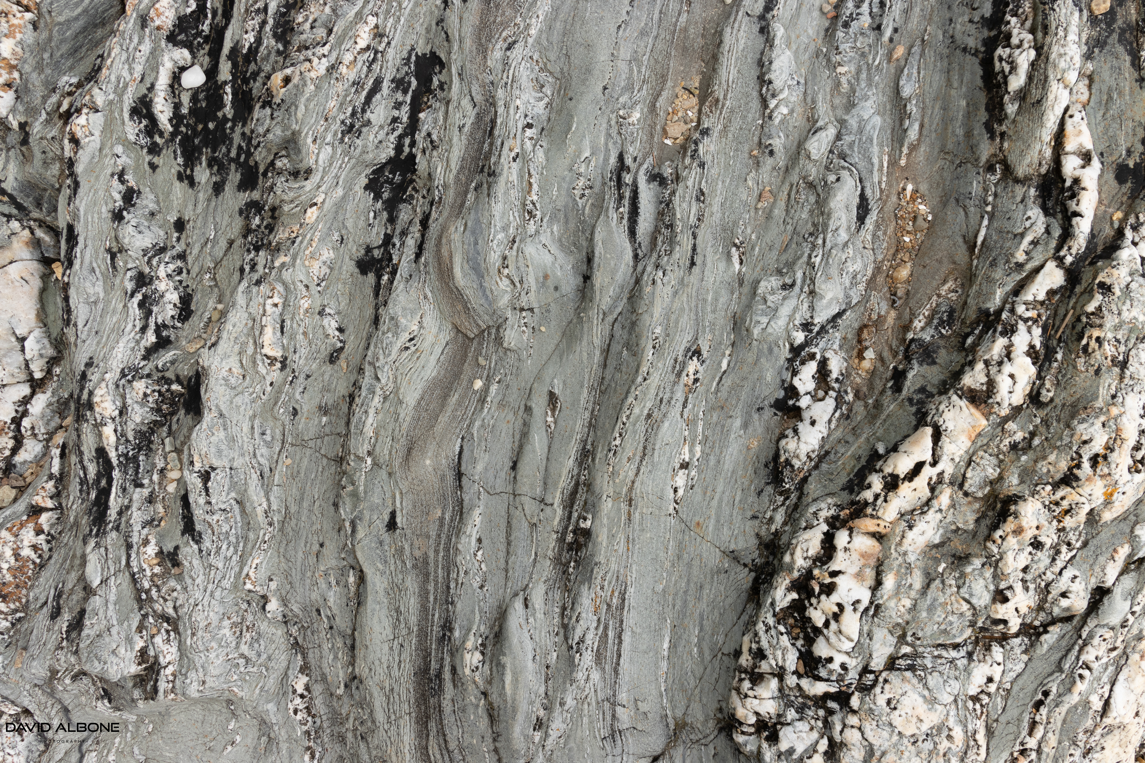 Coastal Patterns 1