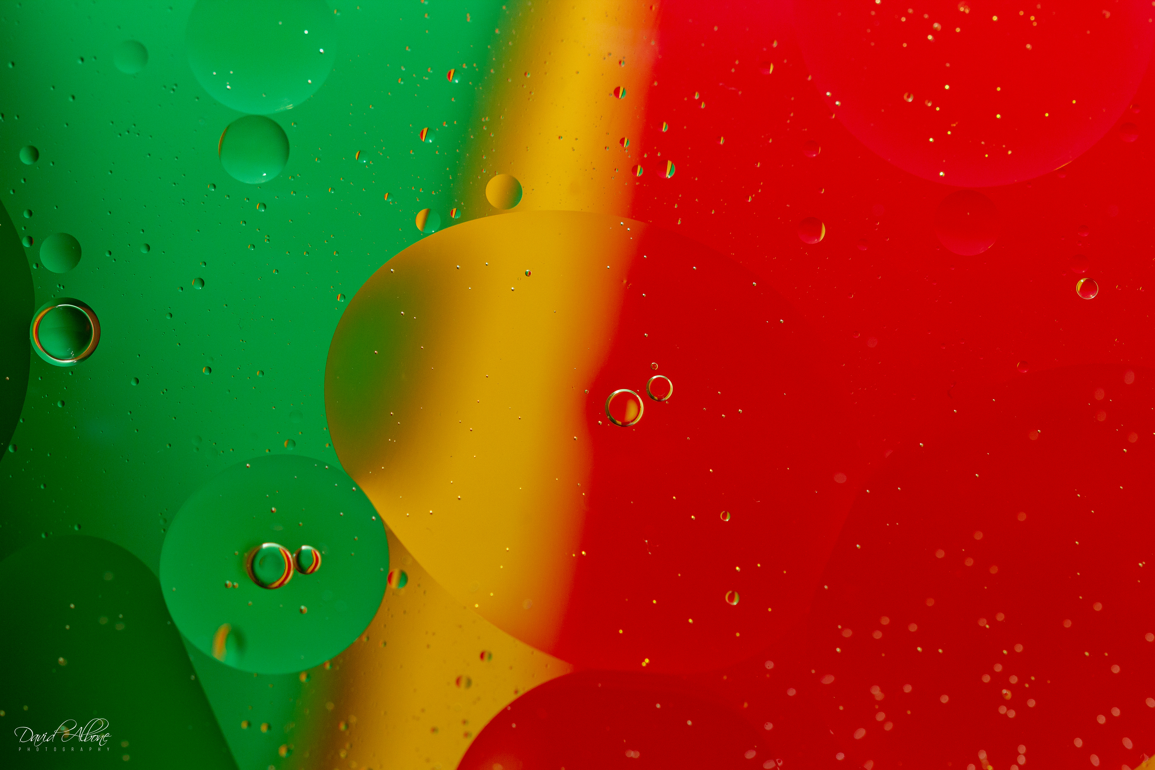 Oil on Water