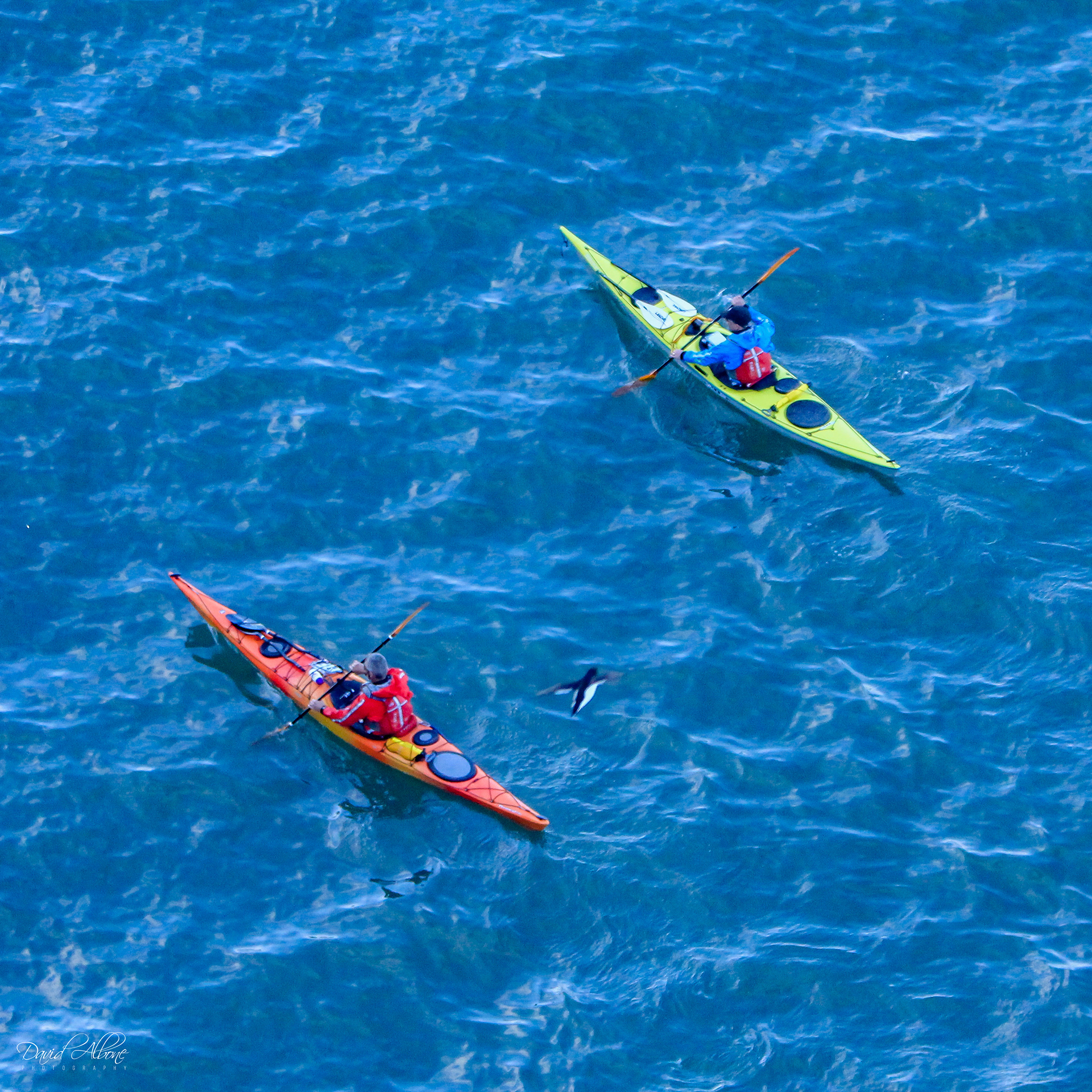 Two Kayaks