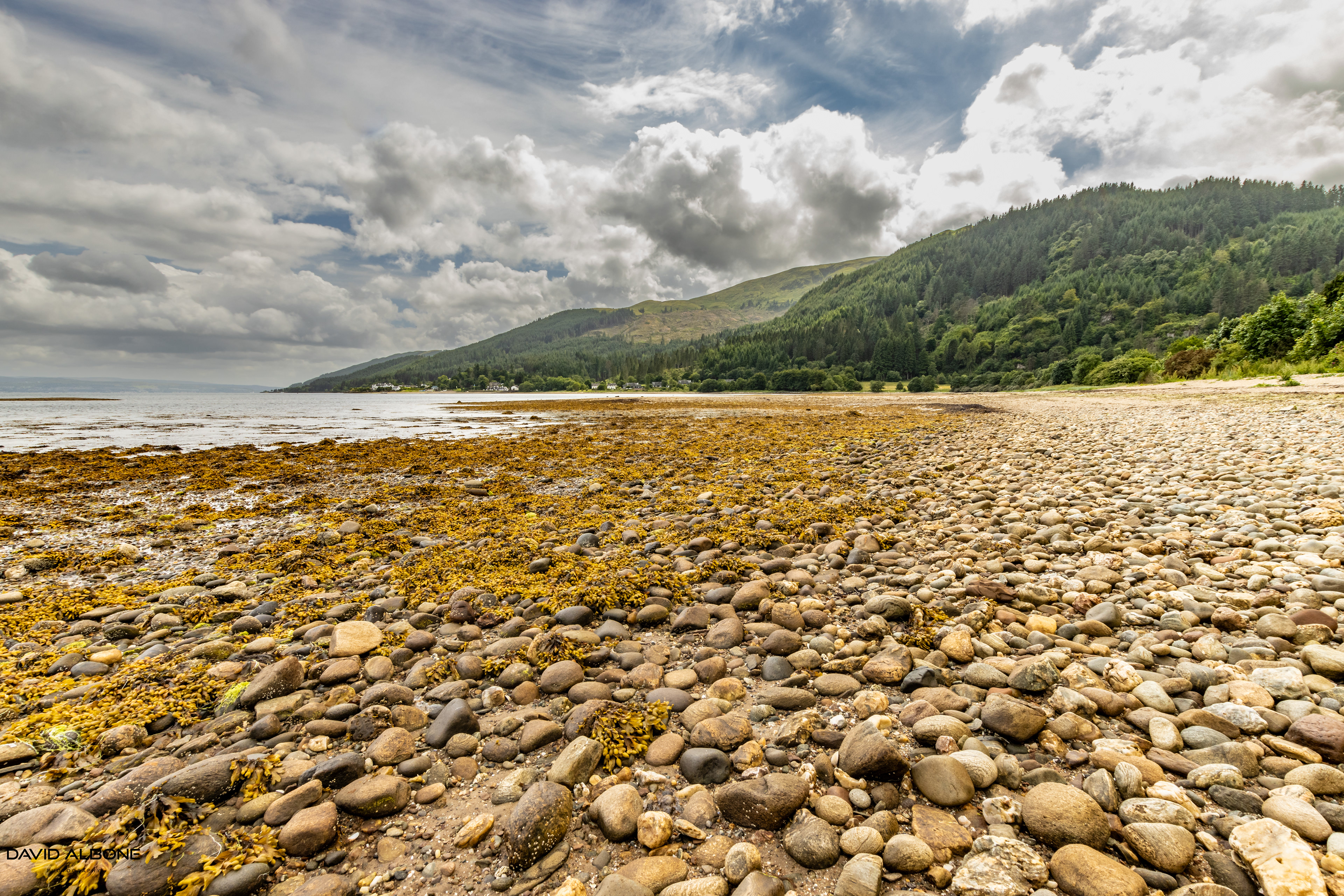 Beach Perspective 2