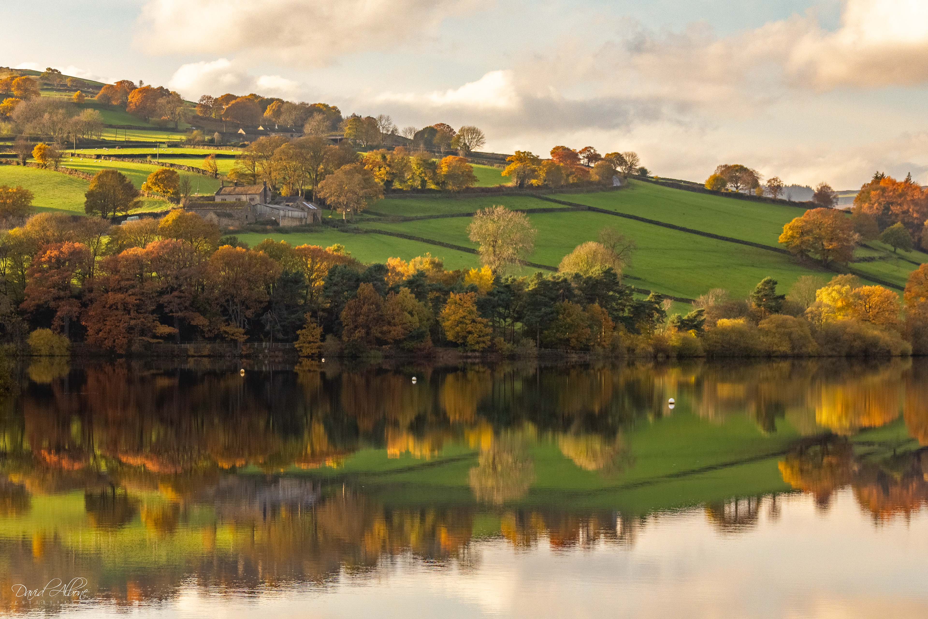 Damflask Reflections 1