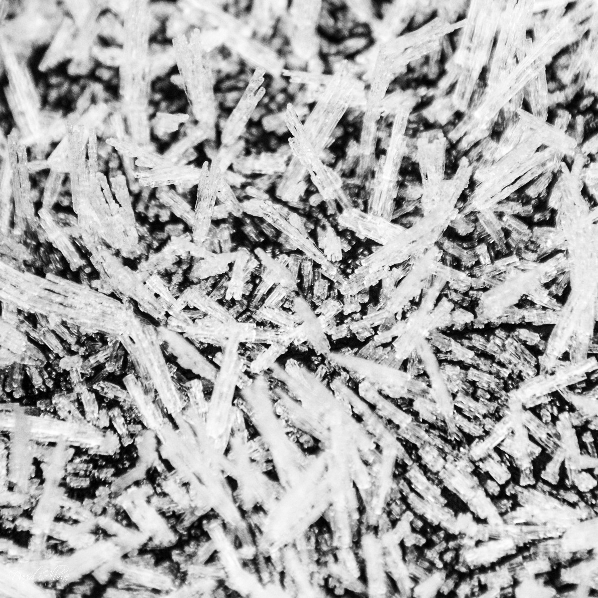 Ice in Mono