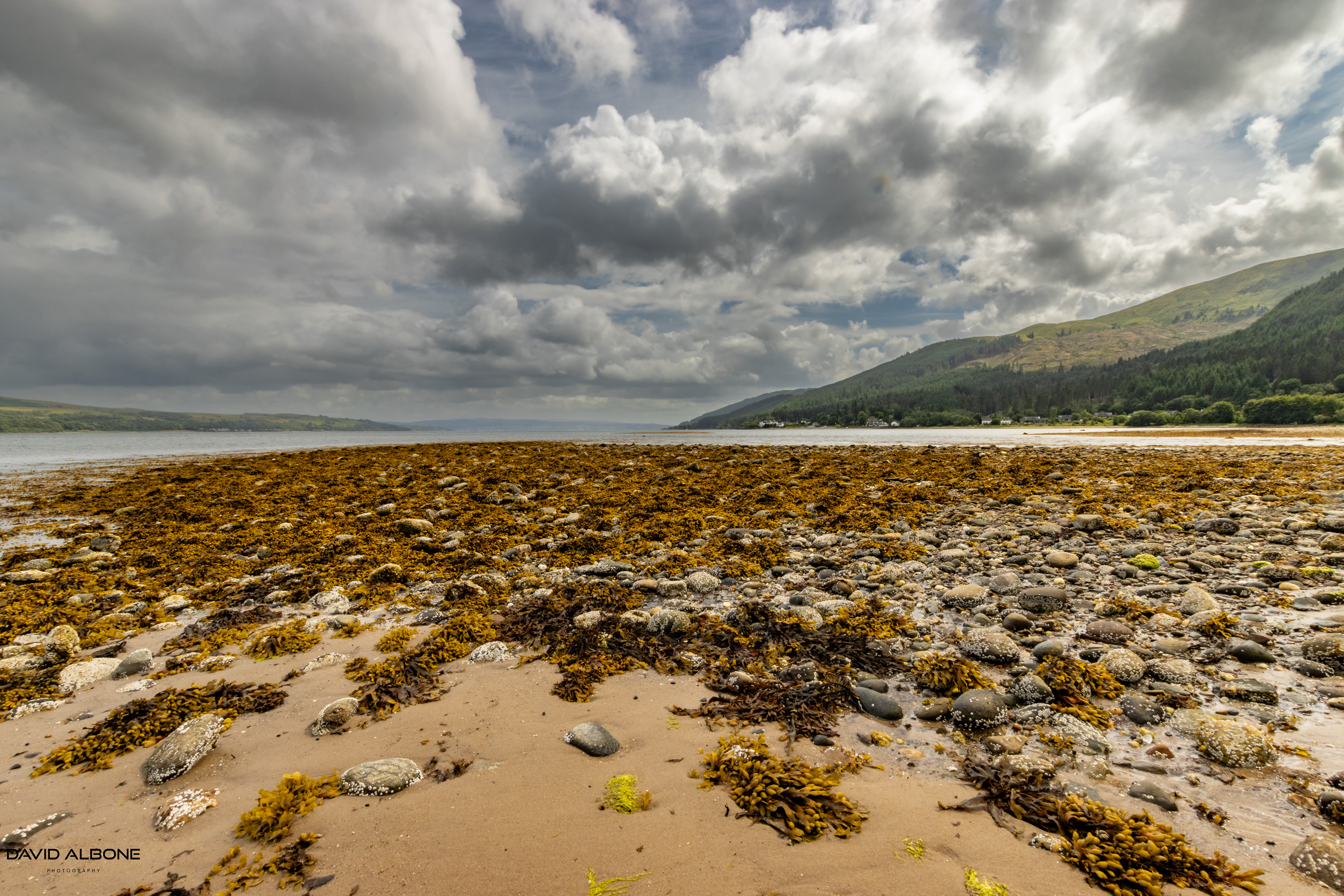Beach Perspective 1