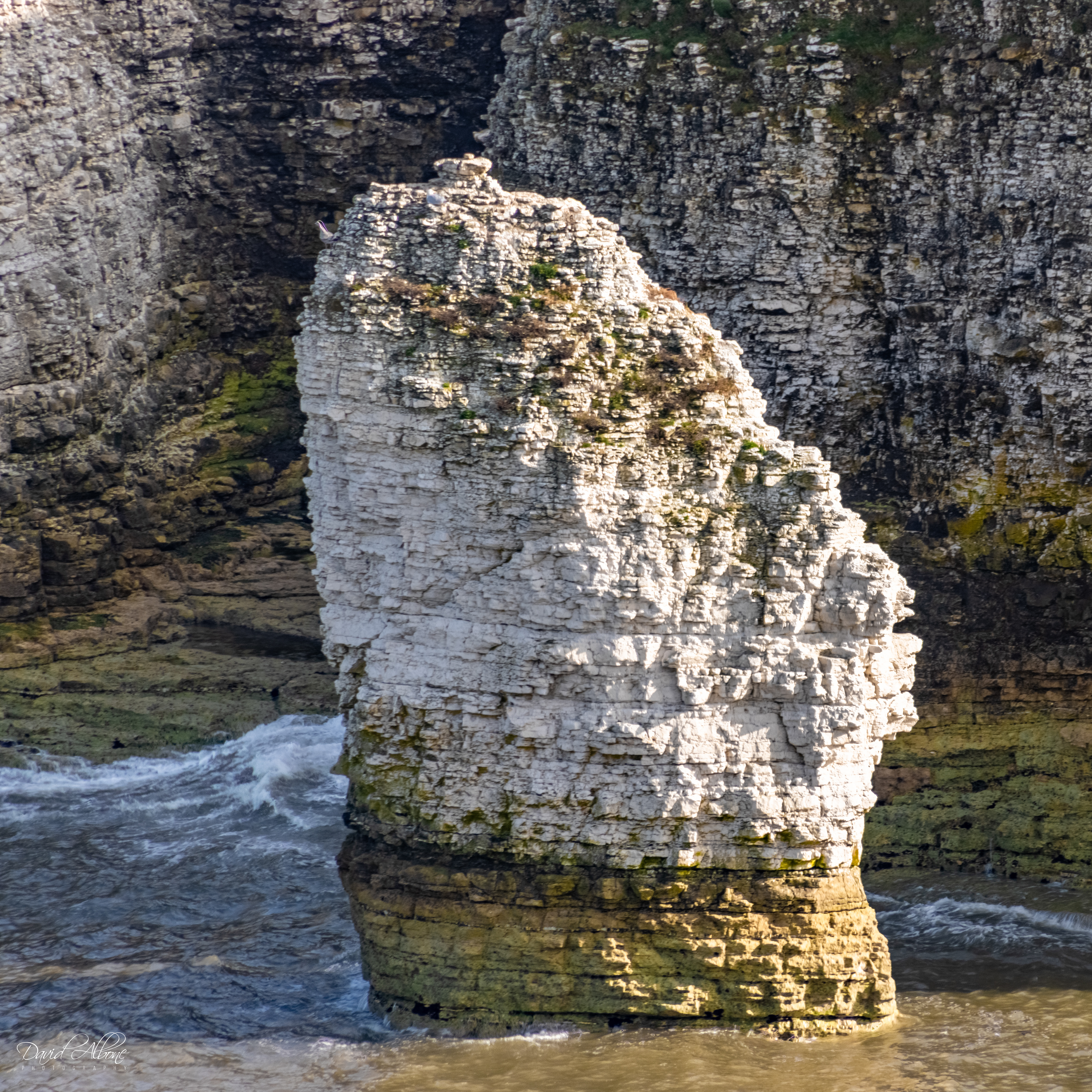 Pinnacle at Breil Newk, Flamborough