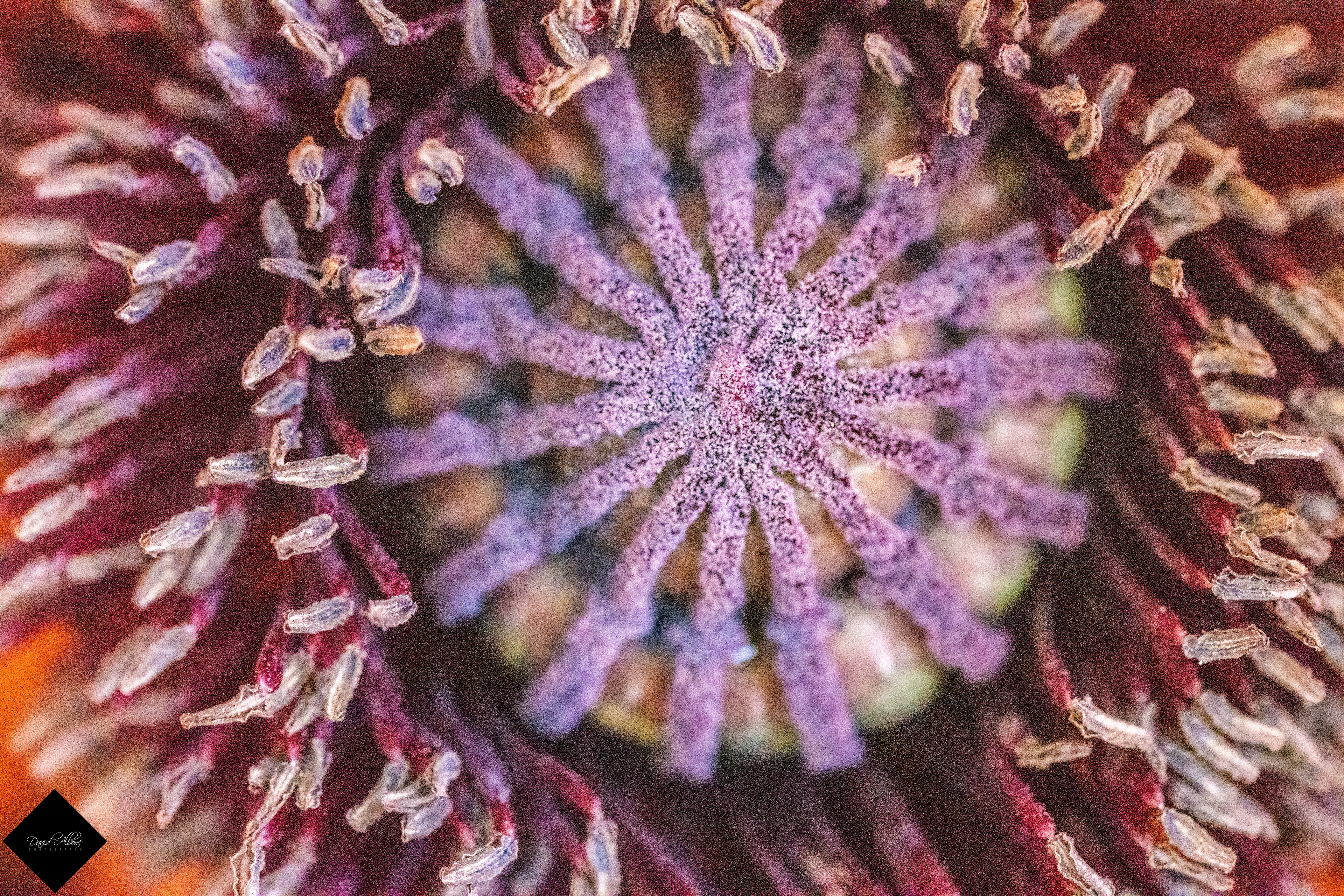 Strange Patterns