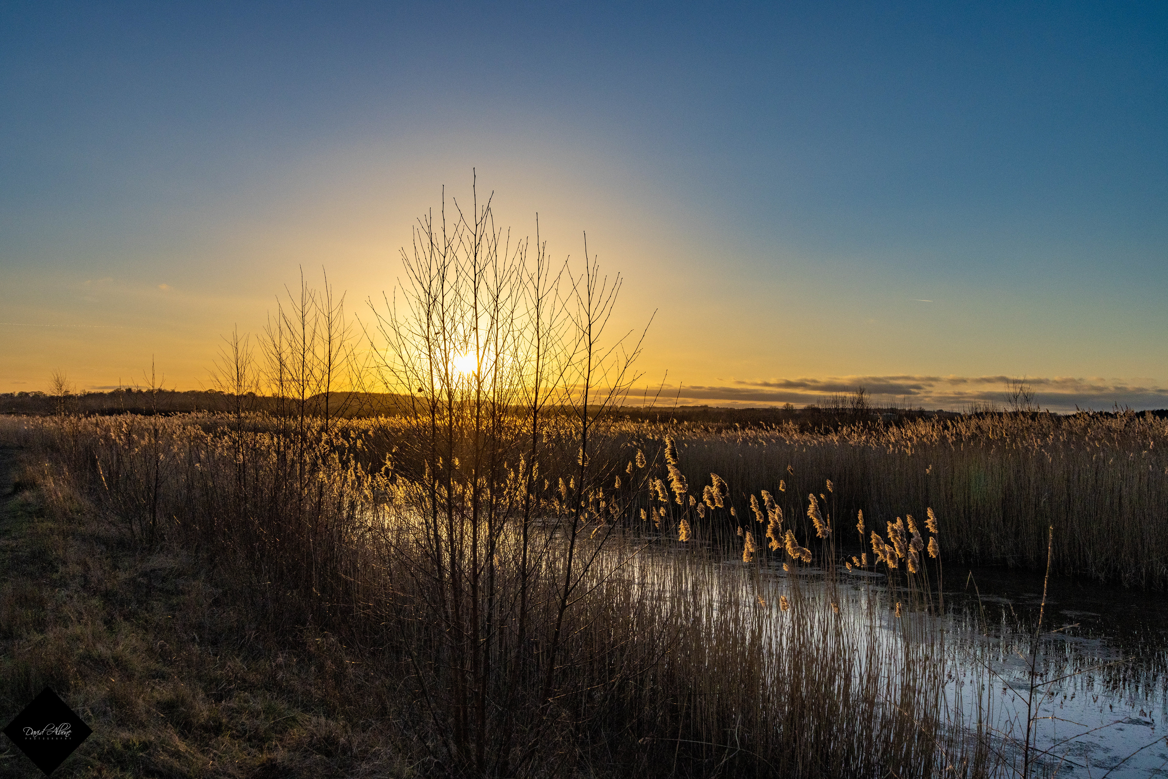 Sunset over the reedbeds 2