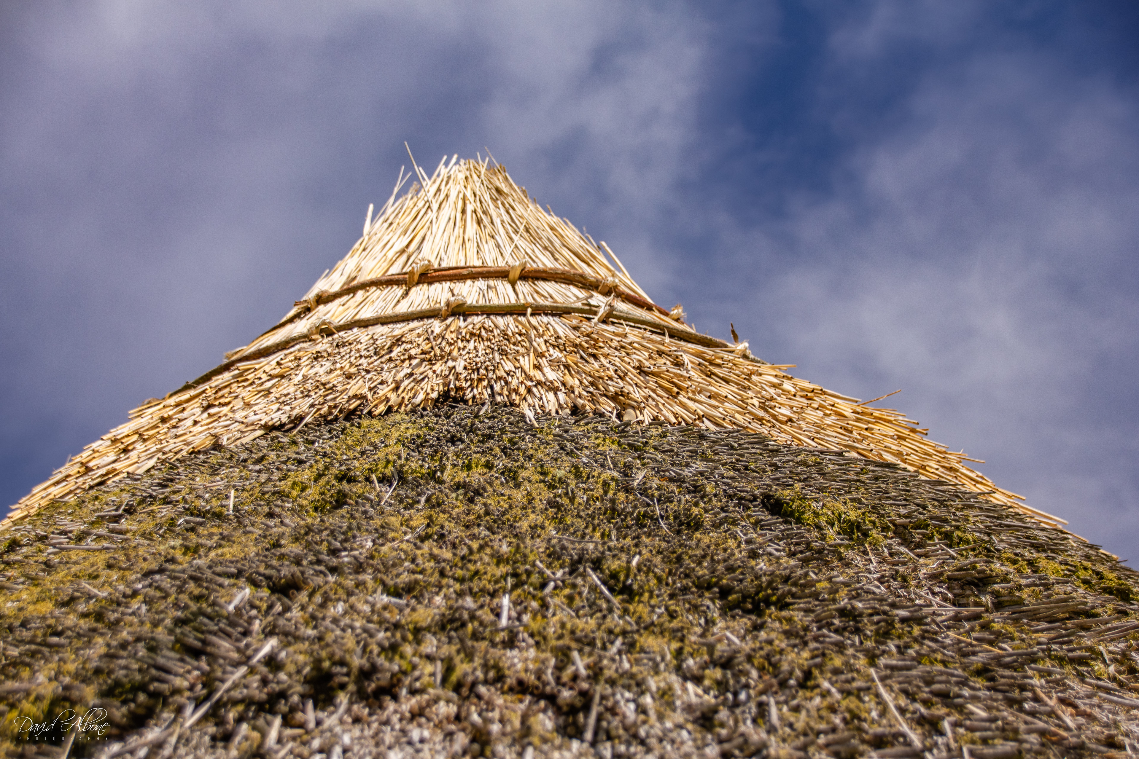 Thatch