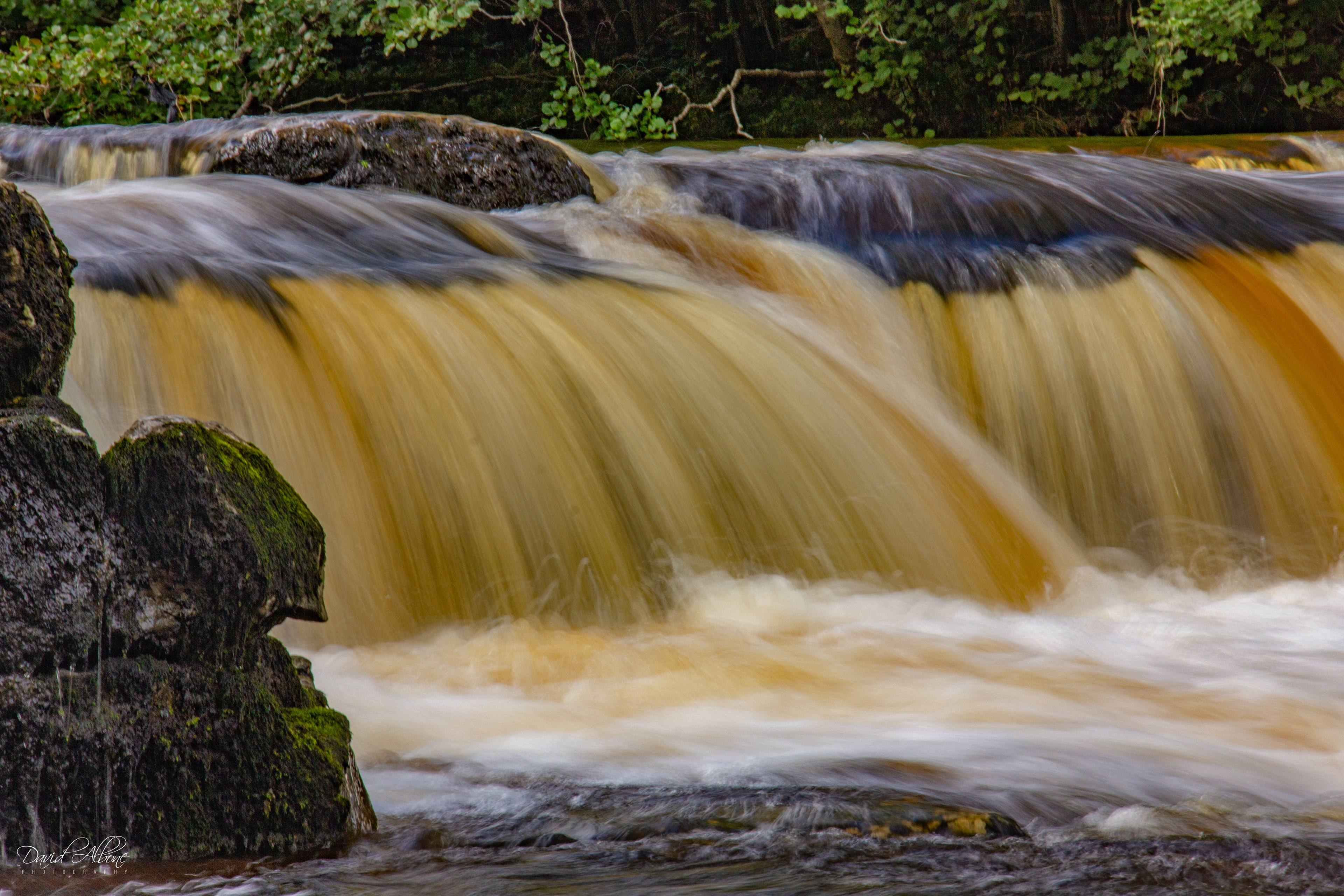 Redmire Force