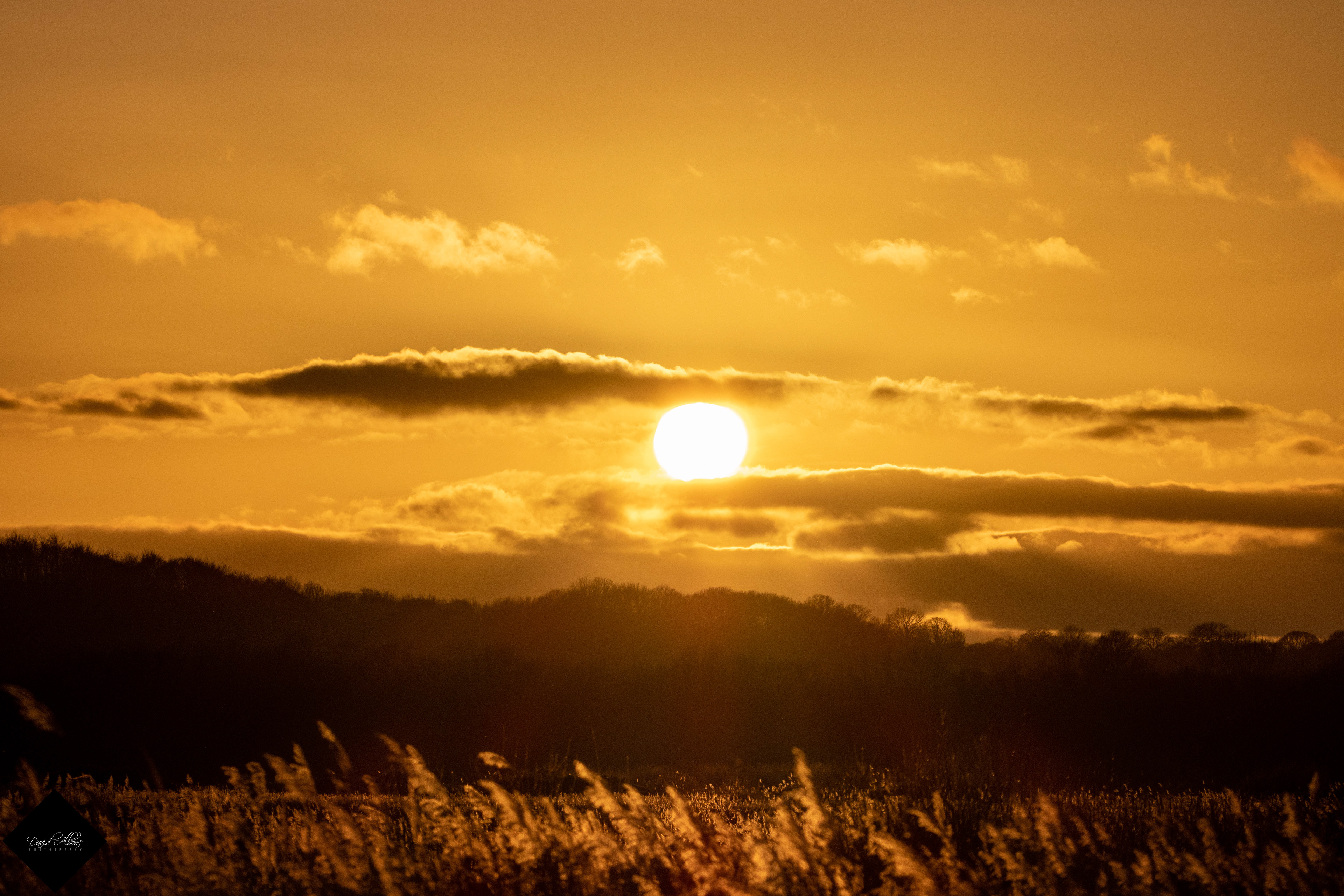 Sunset over the reedbeds 1