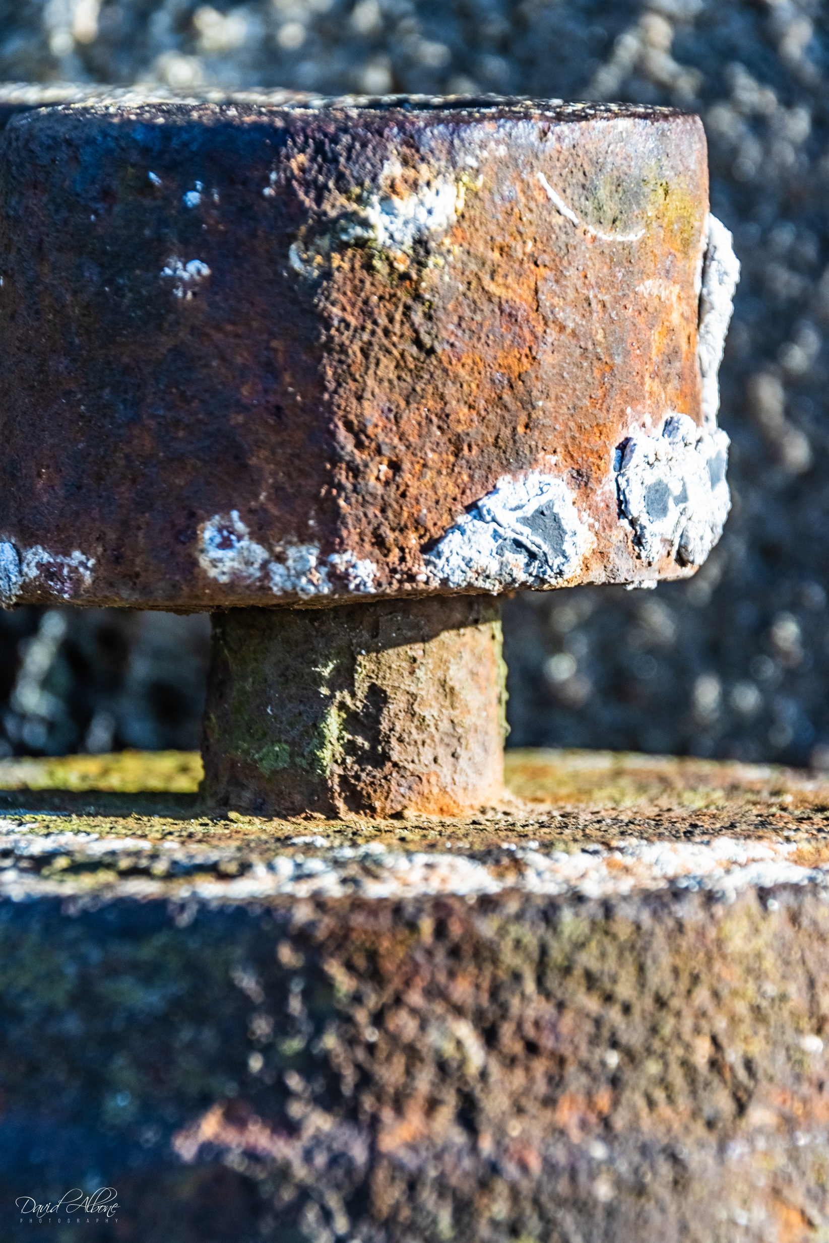 Red Rust
