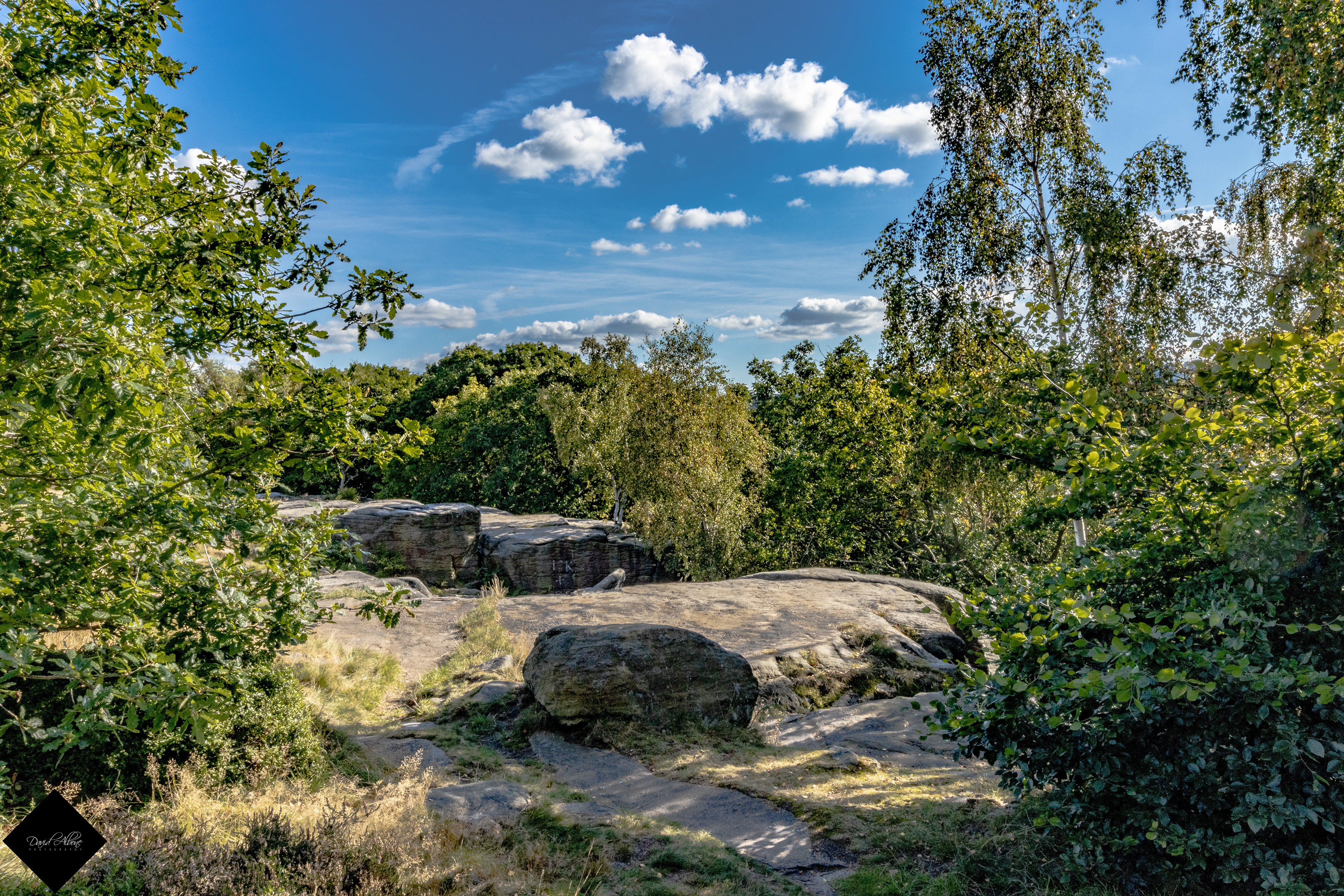 Leading Lines 2 - Shipley Glen