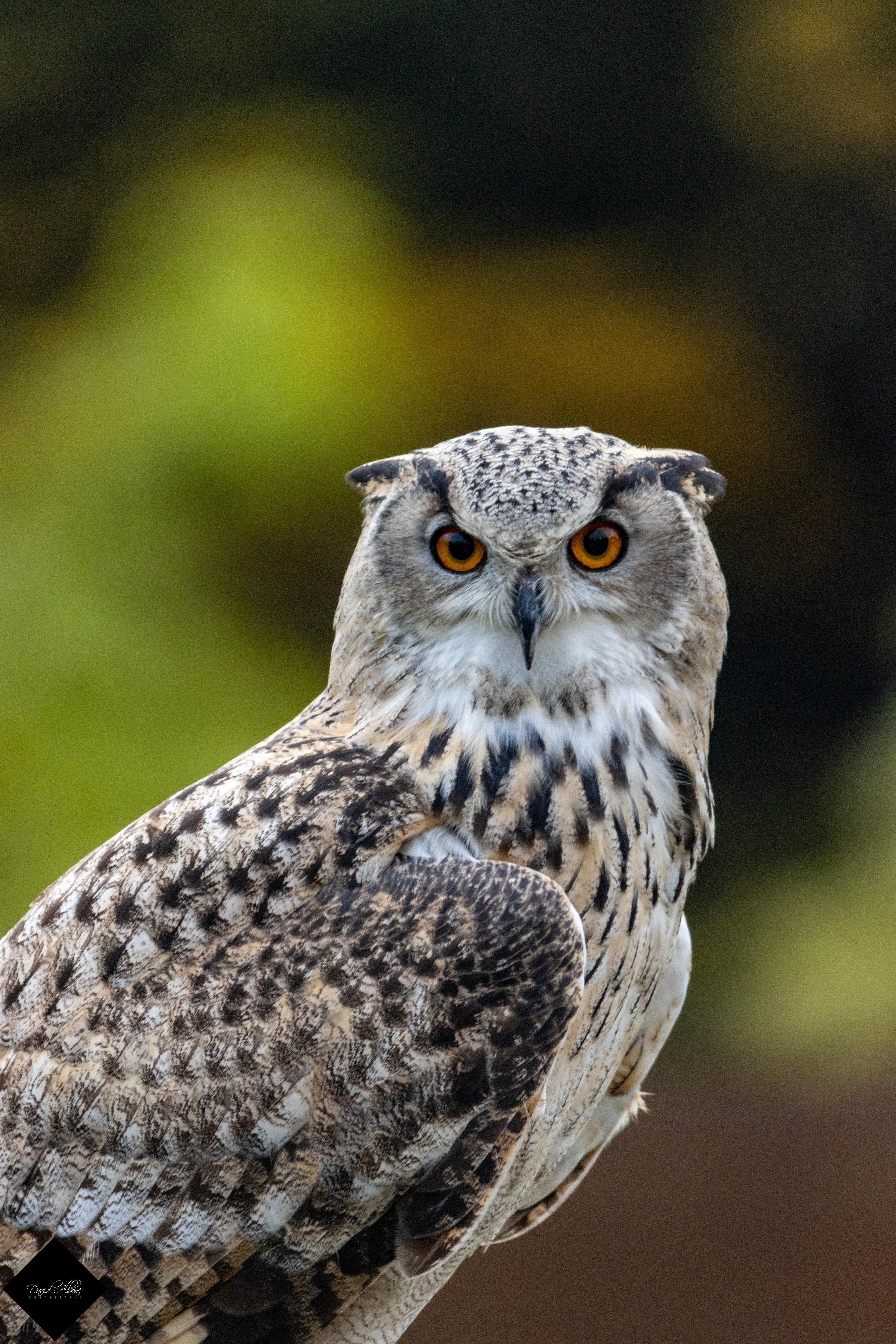 Are you looking at me?
