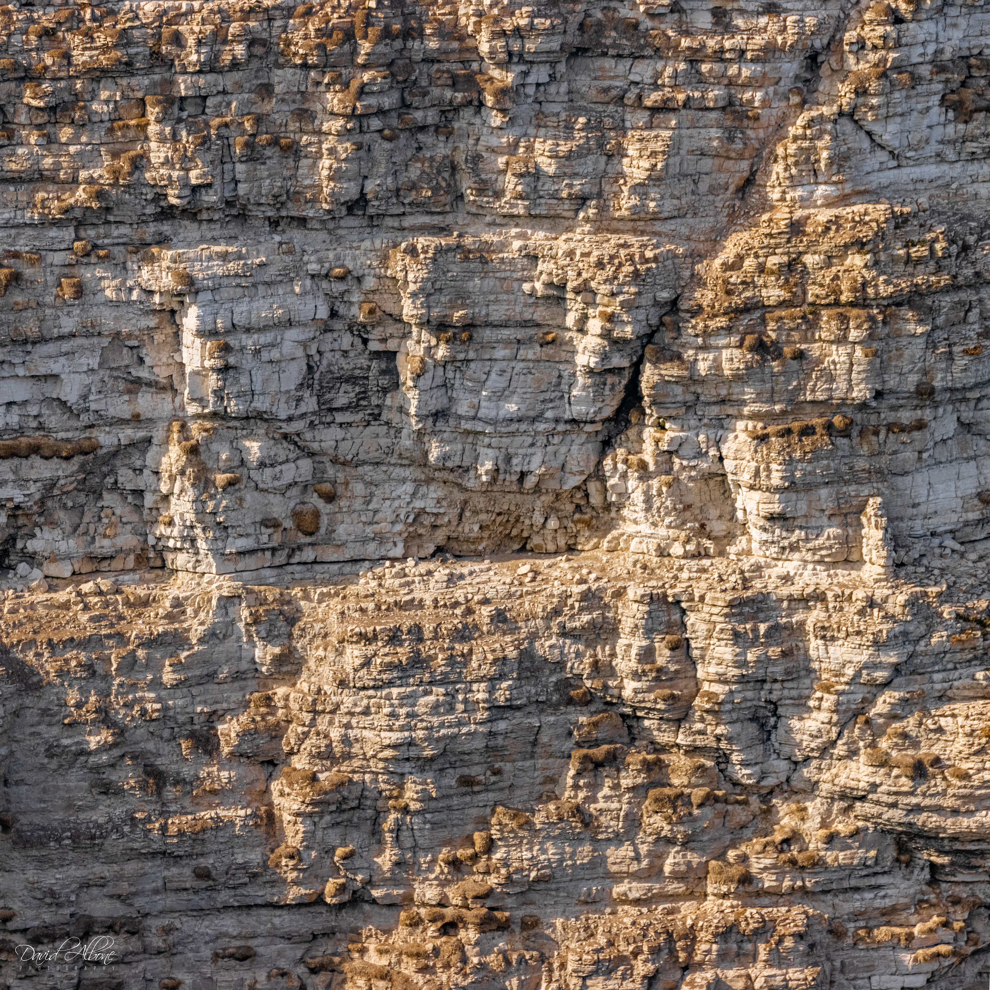 Rock Formation