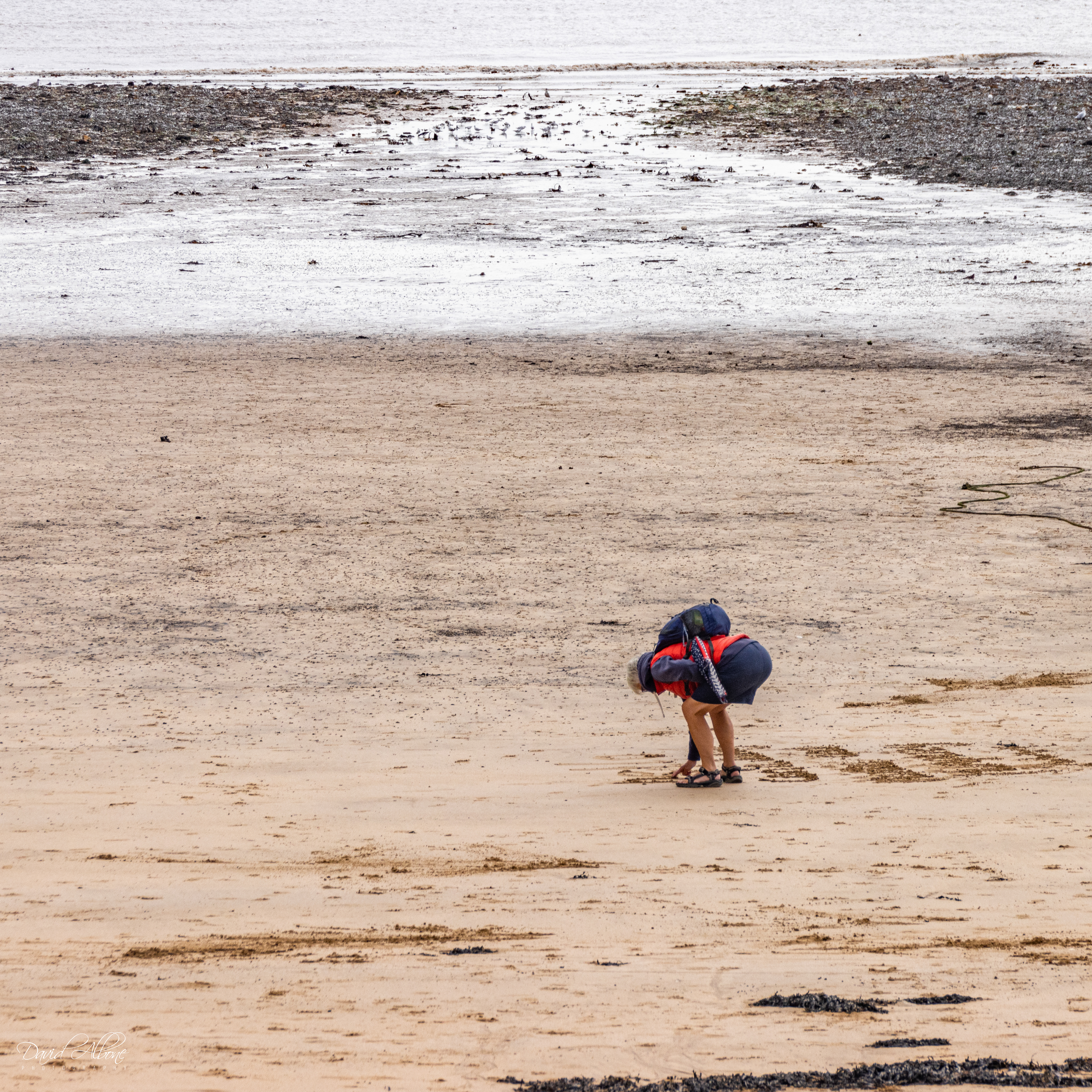 Message in the Sand 2