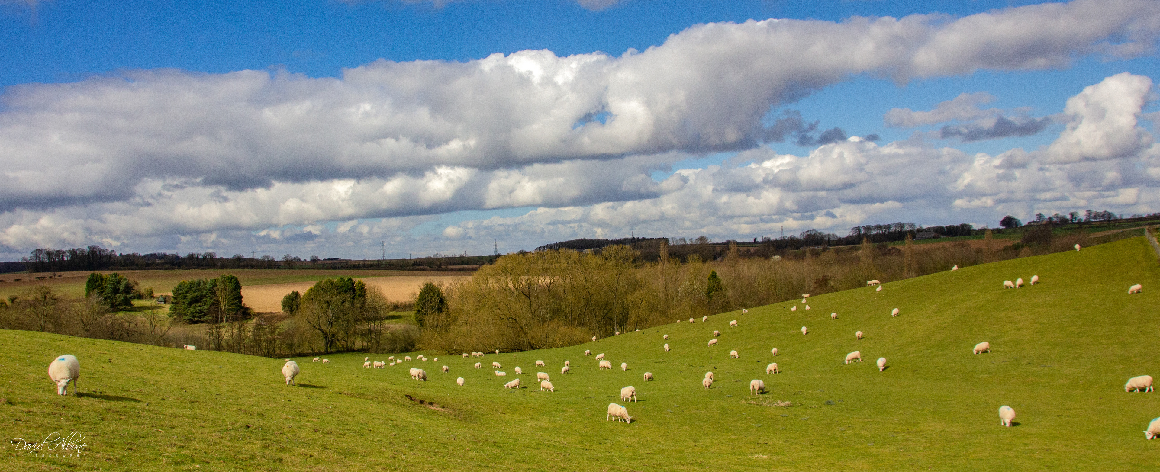 Battlefield in Peace - Towton