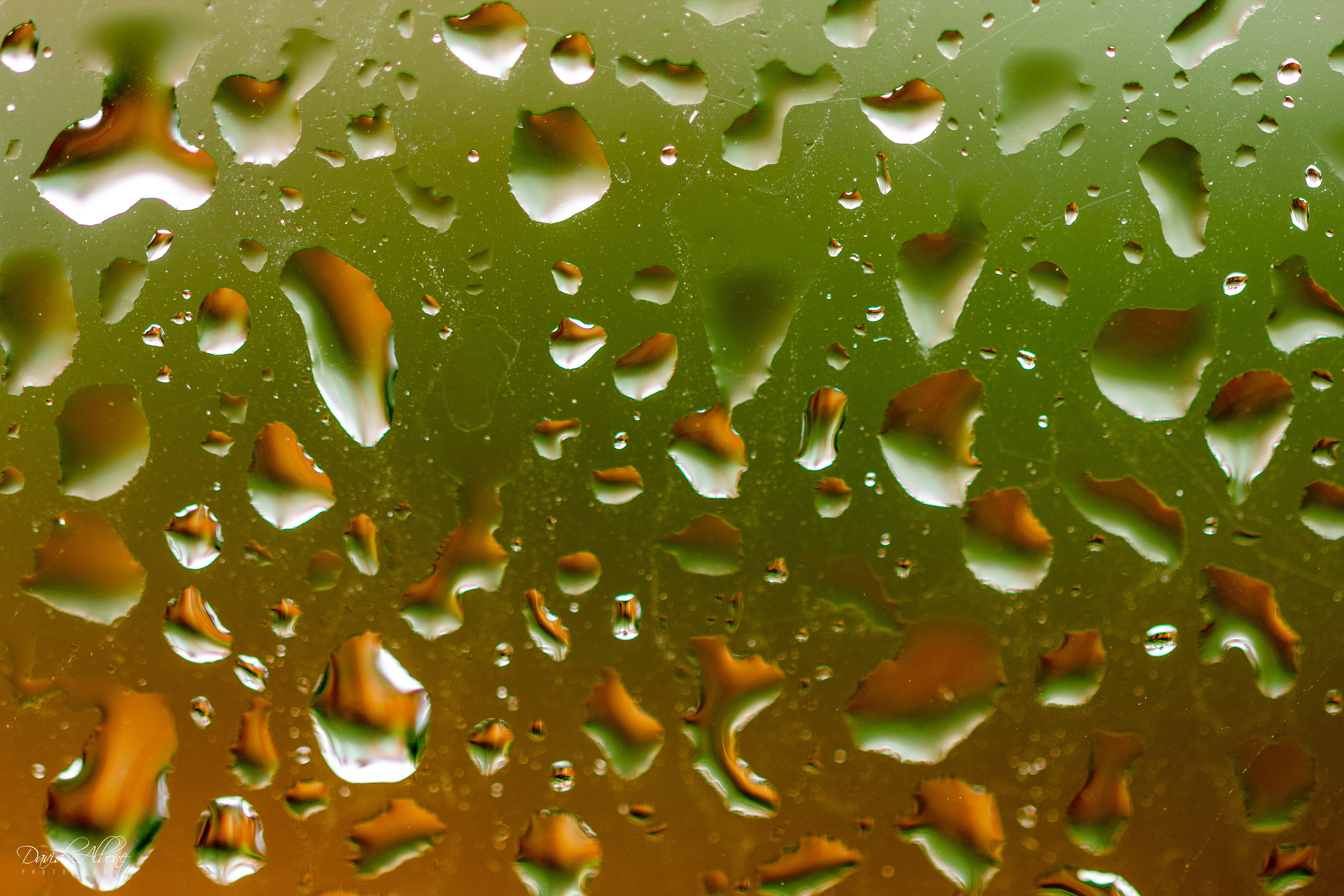 Rainy Day