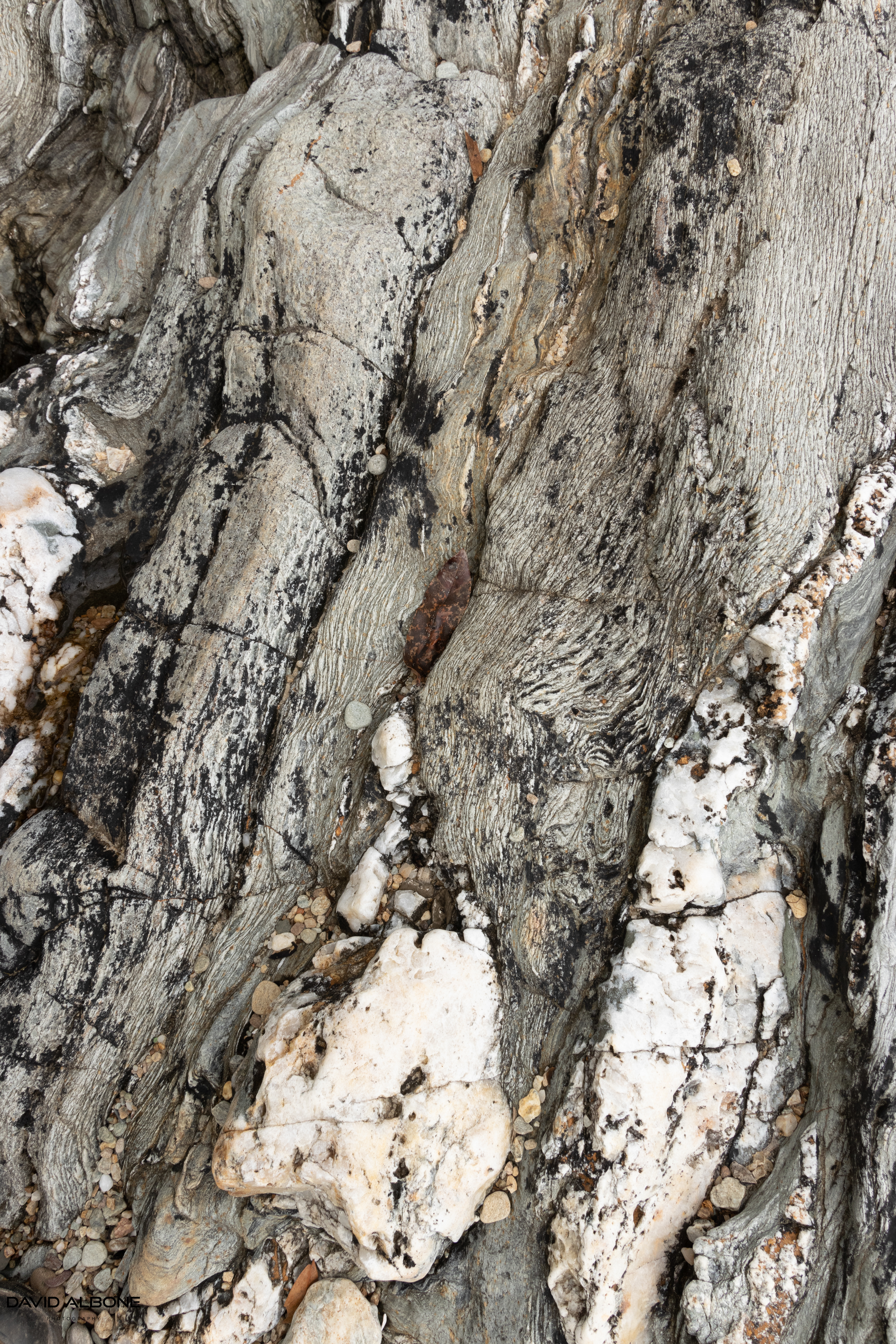 Coastal Patterns 2