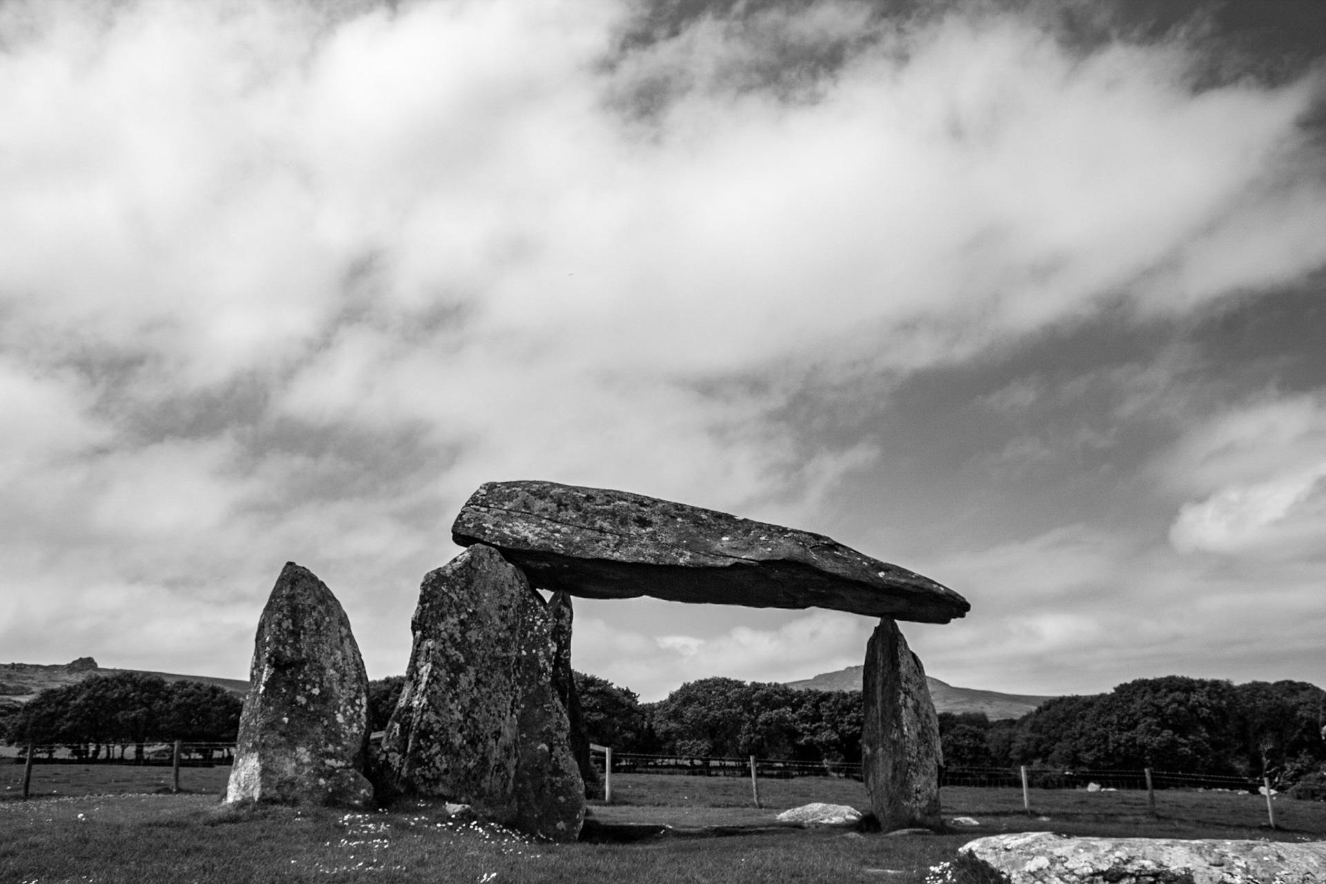 Brooding Ancient