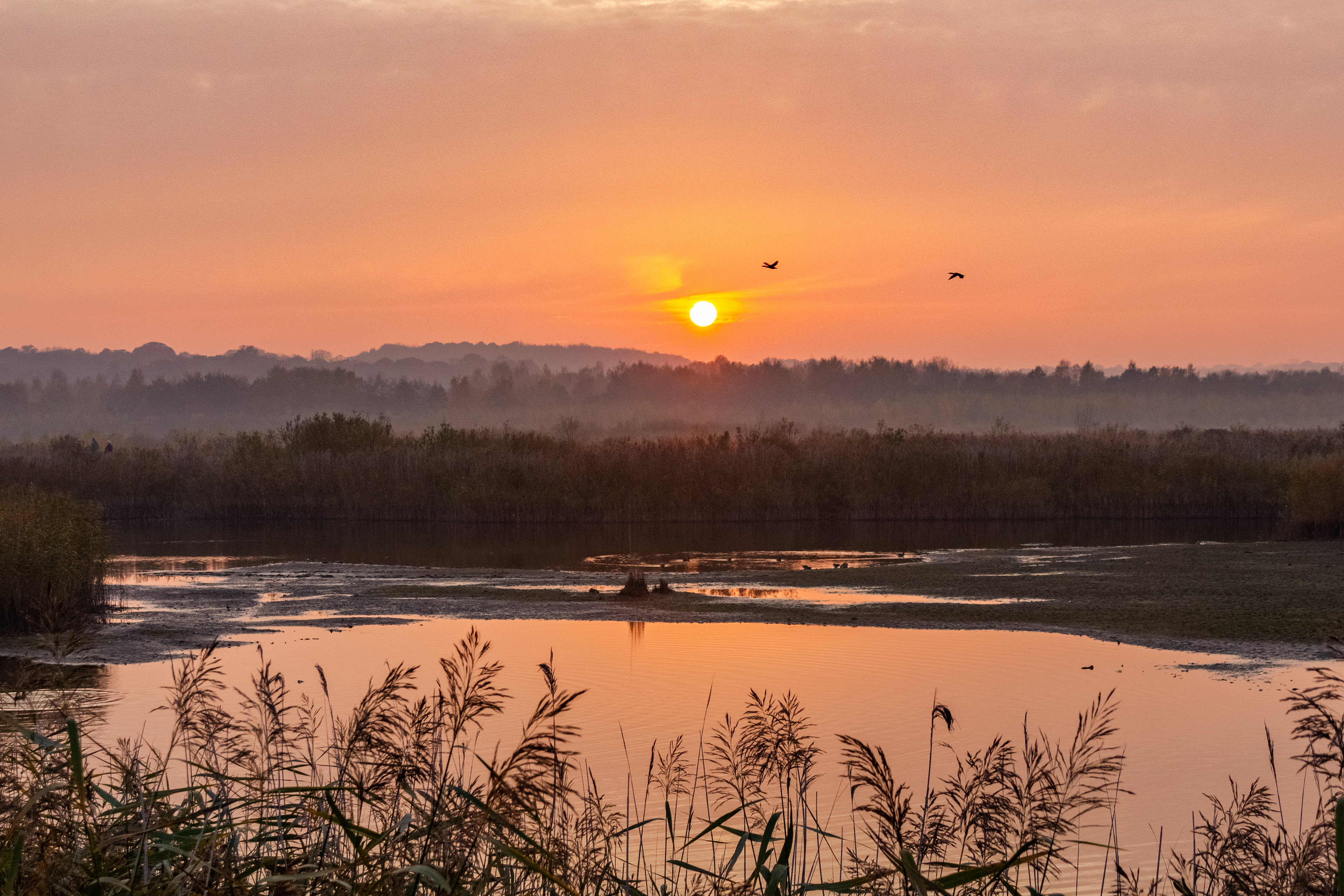 Autumn Sunset 3