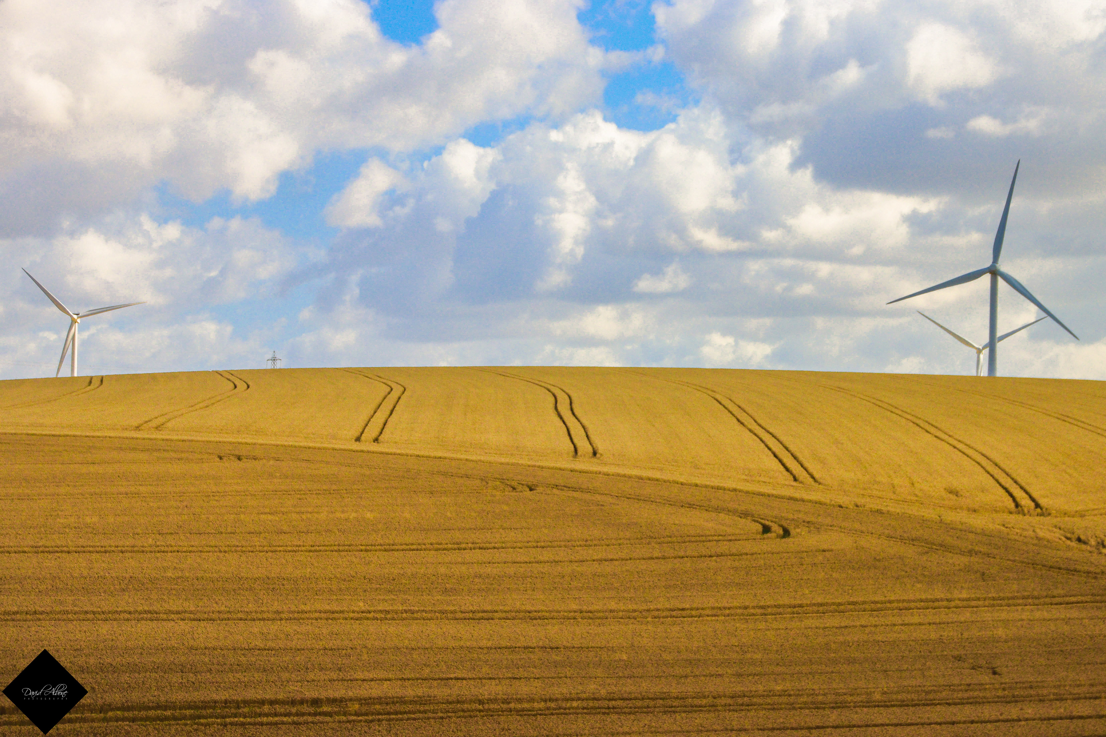 Patterns in the Field