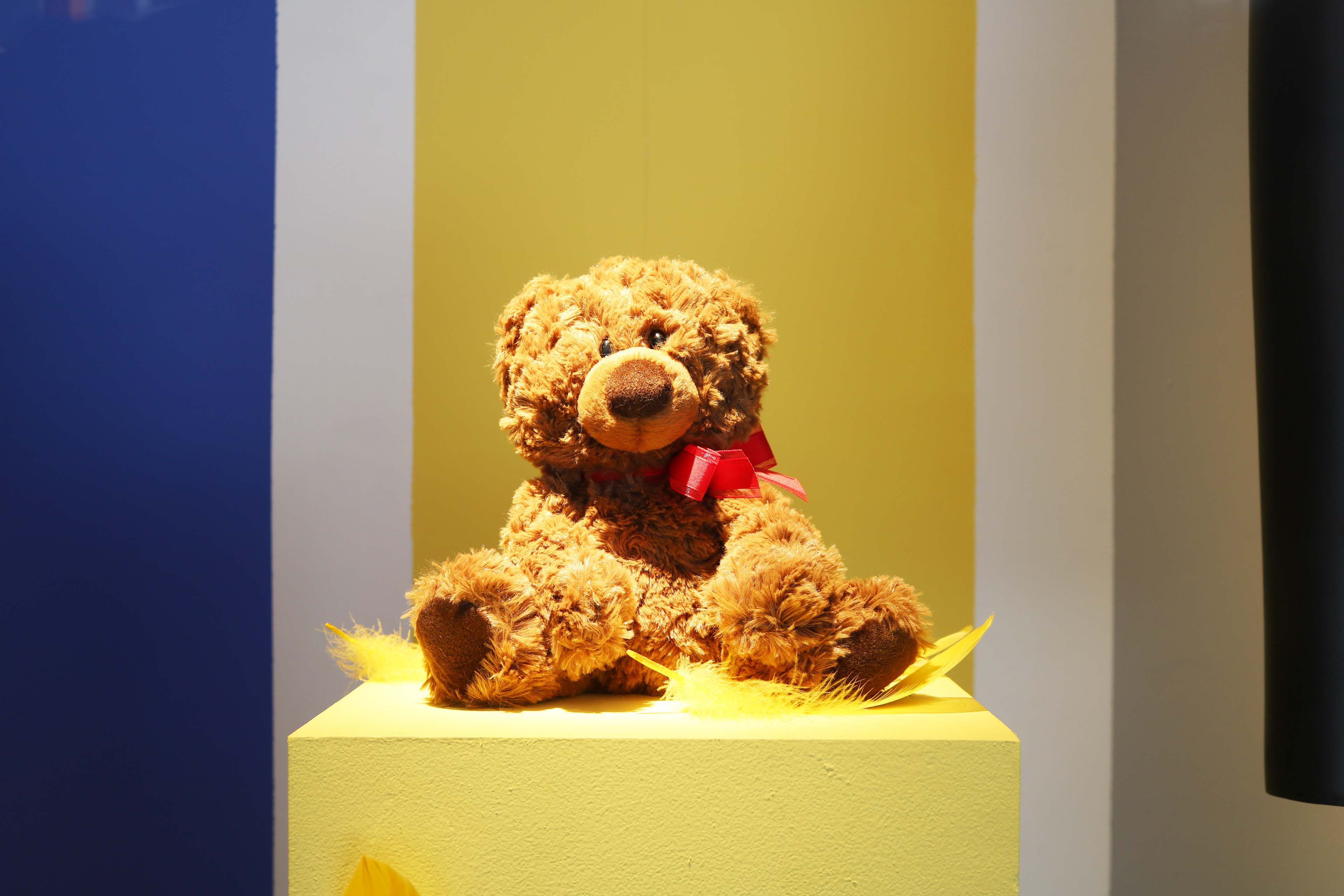 Big Bird's Teddy Bear
