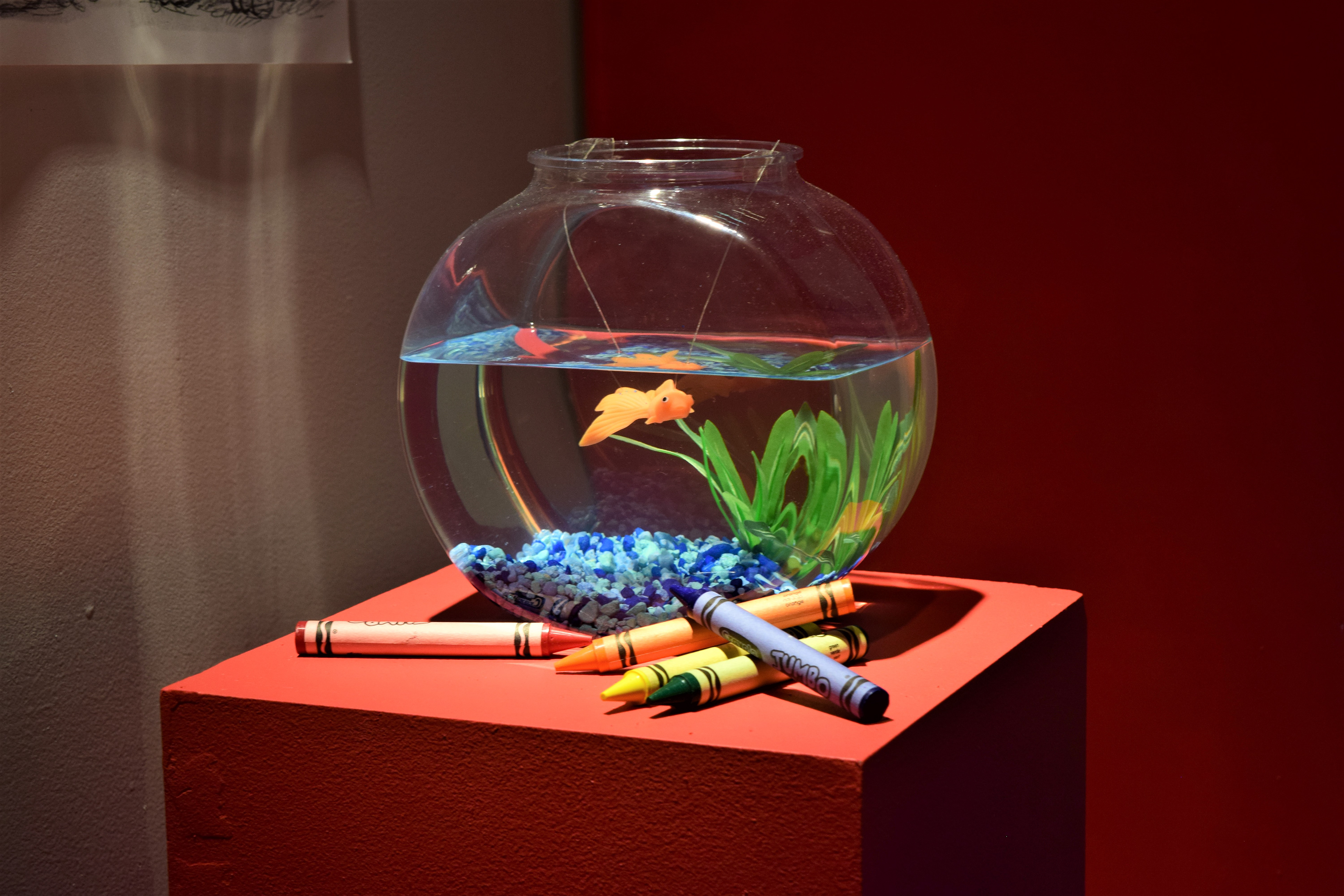 Elmo's Goldfish